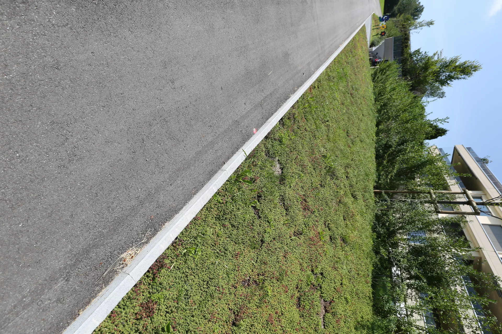 Stellplatte grau glatt beidseitig gefast L 100 cm B 6 cm H 25 cm