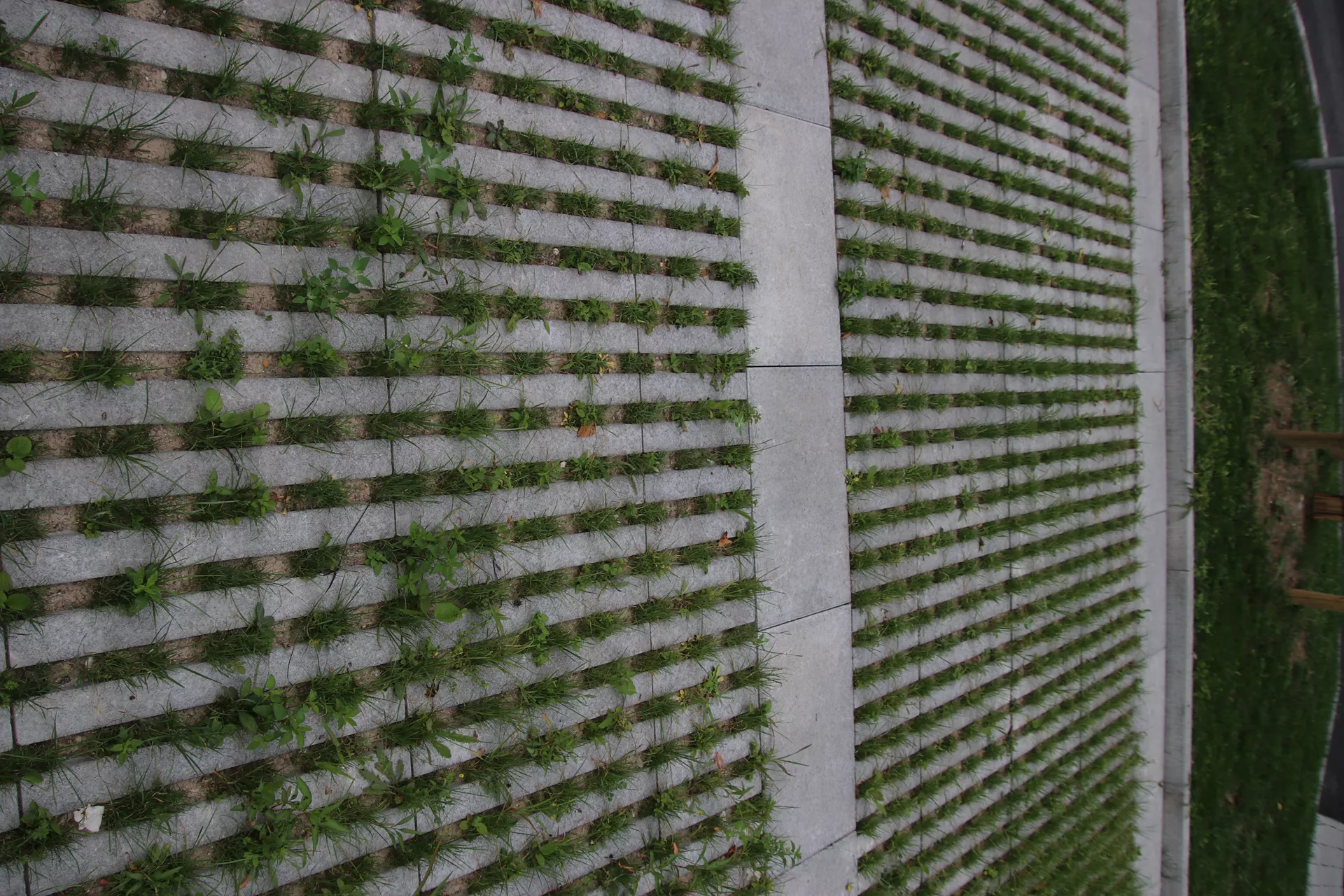 RAINA Rasenliner mit Verschiebesicherung grau glatt L 60 cm B 40 cm H 10 cm