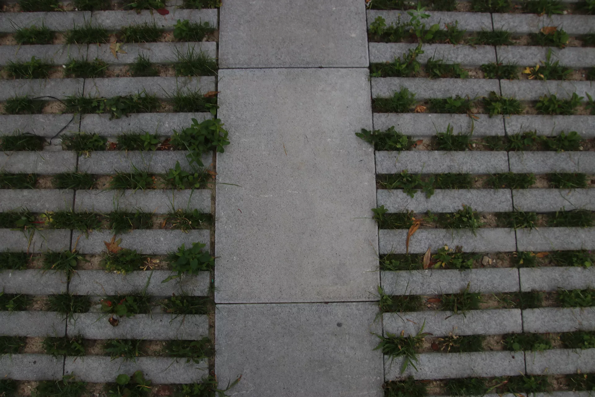 Schrittplatte zu Rasengittersteinen grau glatt gefast L 60 cm B 40 cm H 10 cm