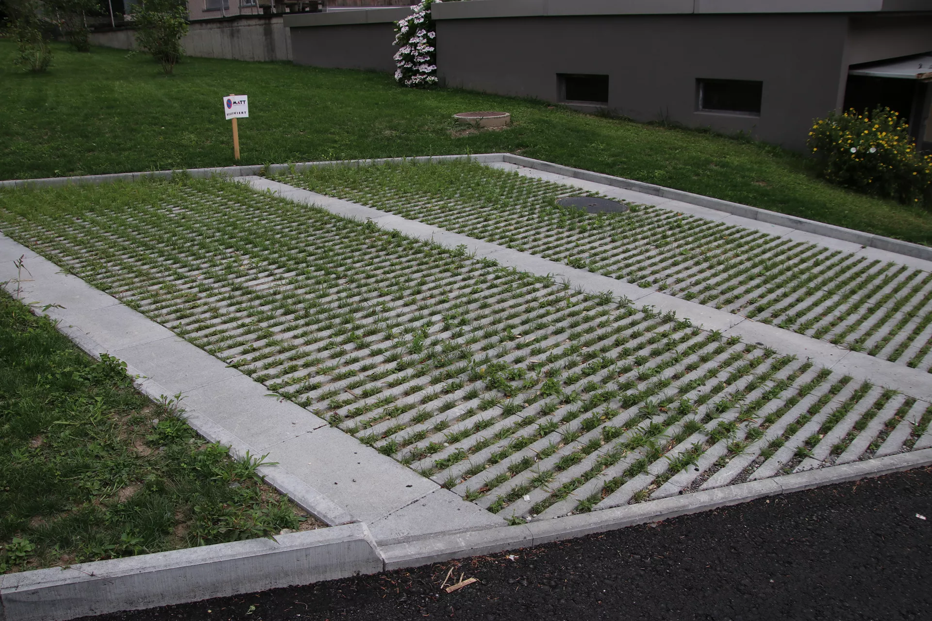 Schrittplatte zu Rasengittersteinen grau glatt gefast L 60 cm B 40 cm H 10 cm