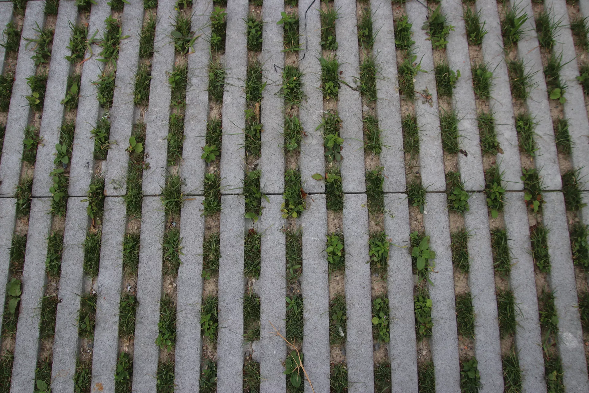 RAINA Rasenliner mit Verschiebesicherung grau glatt L 60 cm B 40 cm H 10 cm