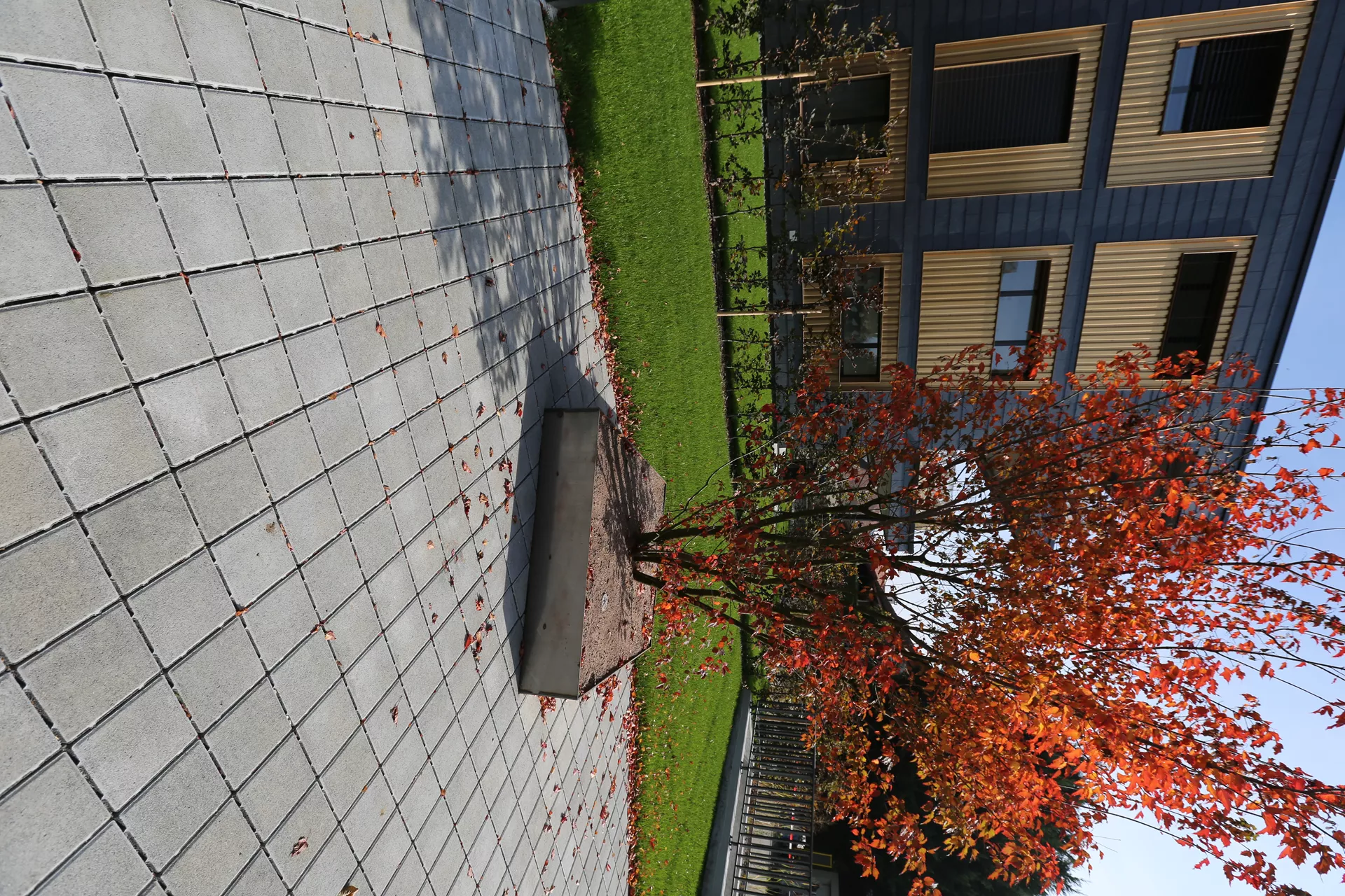 CLASSIC DRAIN Ökostein mit Nocken Normalstein grau glatt leicht gefast L 20 cm B 20 cm H 6 cm