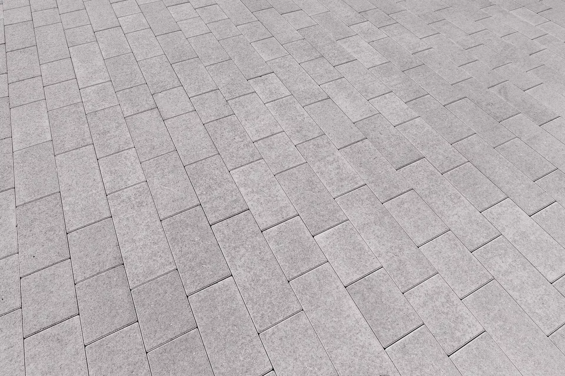 RAINA Pflasterstein grau glatt leicht gefast L 20-40 cm B 15 cm H 8 cm