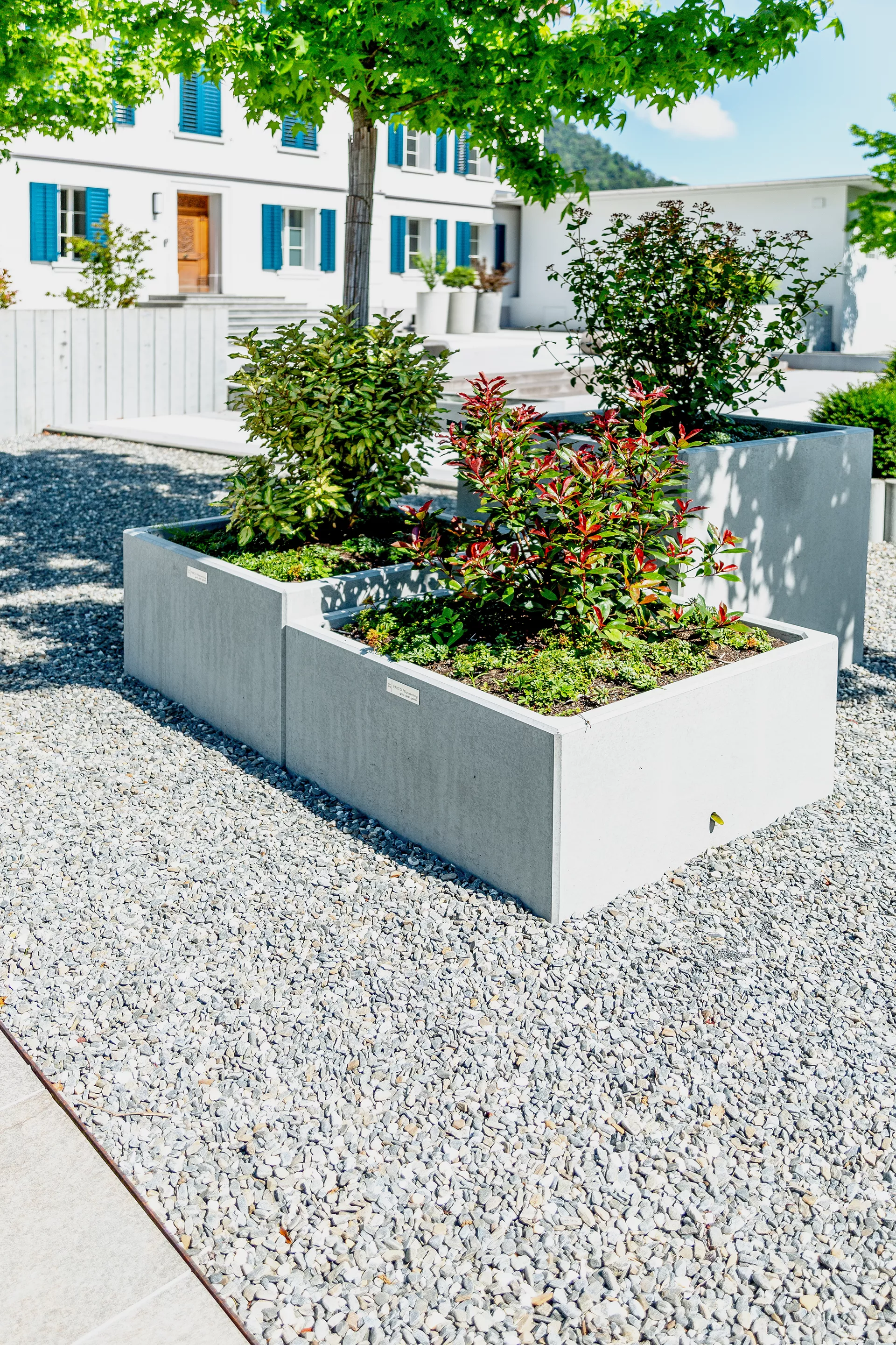 PARCO Pflanzentrog quadratisch grau glatt L 100 cm B 100 cm H 50 cm W 5 cm