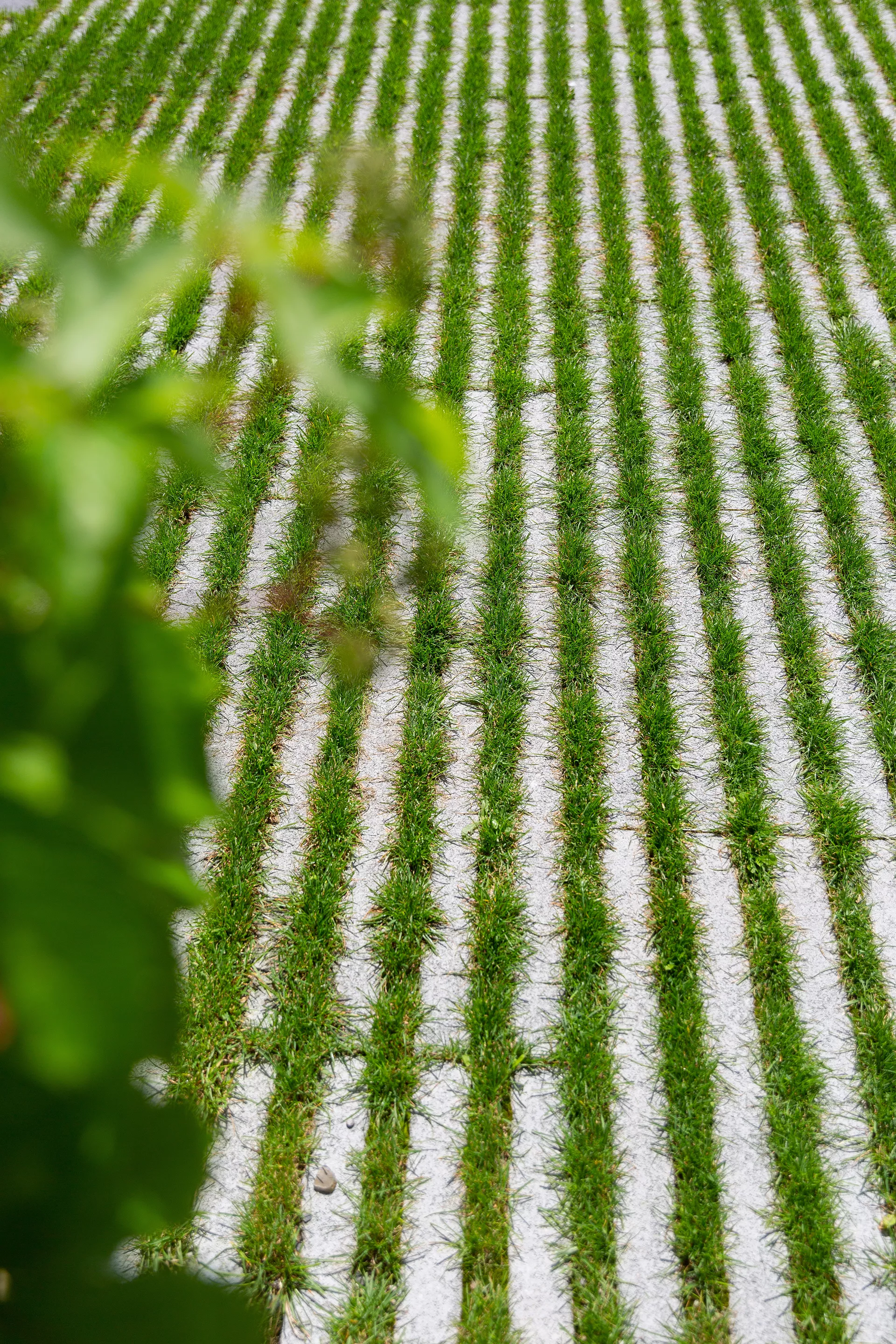 RAINA Rasenliner mit Verschiebesicherung grau glatt L 60 cm B 40 cm H 10 cm