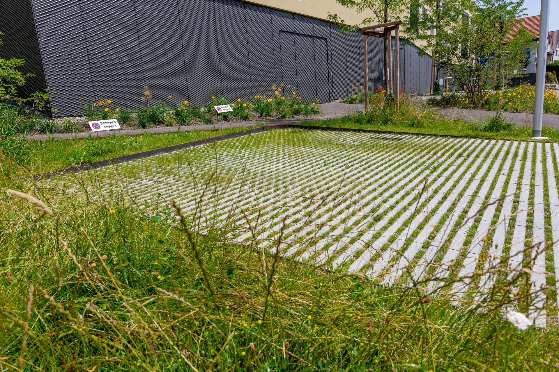 RAINA Rasenliner mit Verschiebesicherung grau glatt L 60 cm B 40 cm H 10 cm