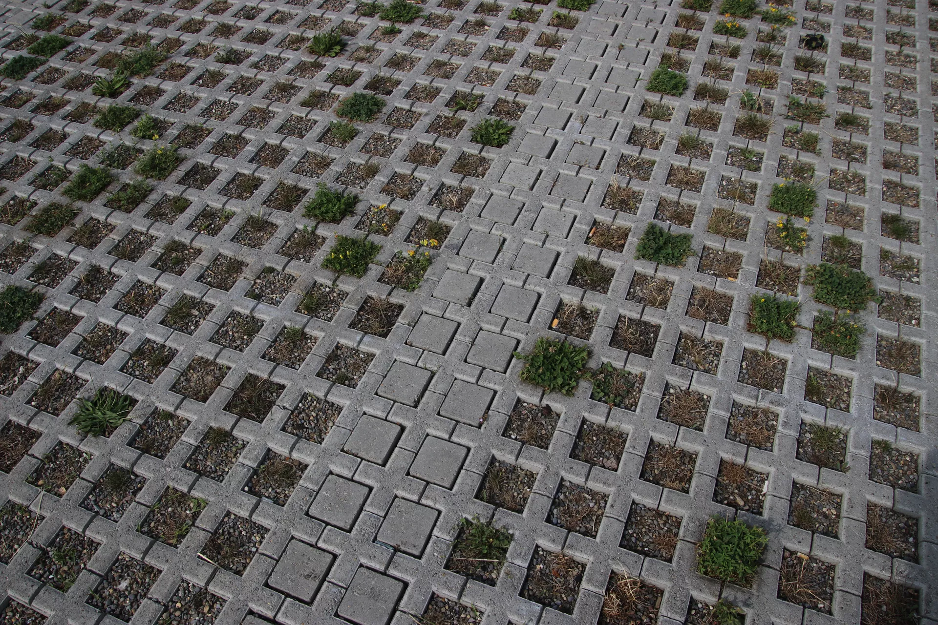 QUADRO Rasengitterstein grau L 58 cm B 47 cm H 10 cm