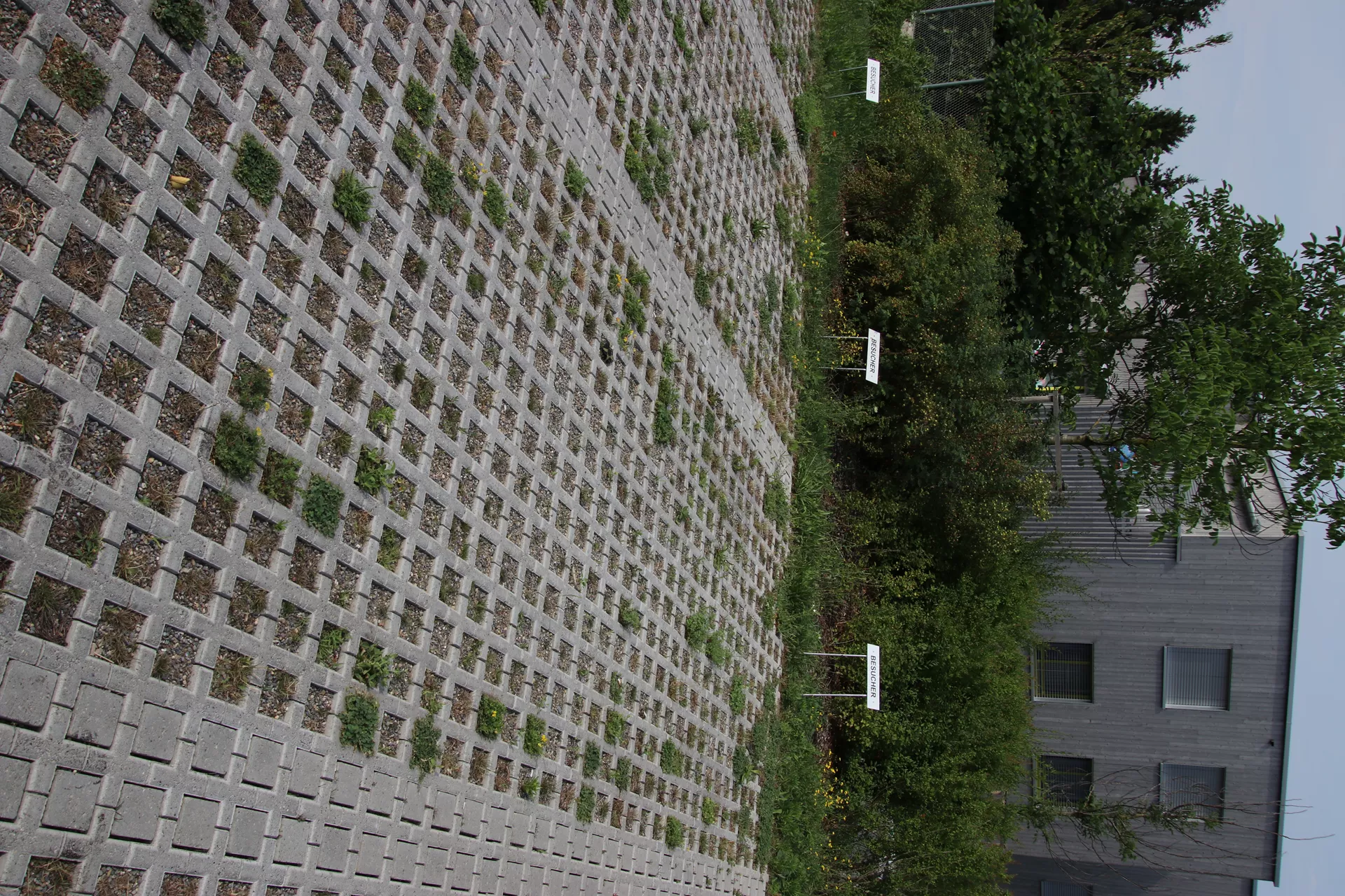 QUADRO Rasengitterstein grau L 58 cm B 47 cm H 10 cm