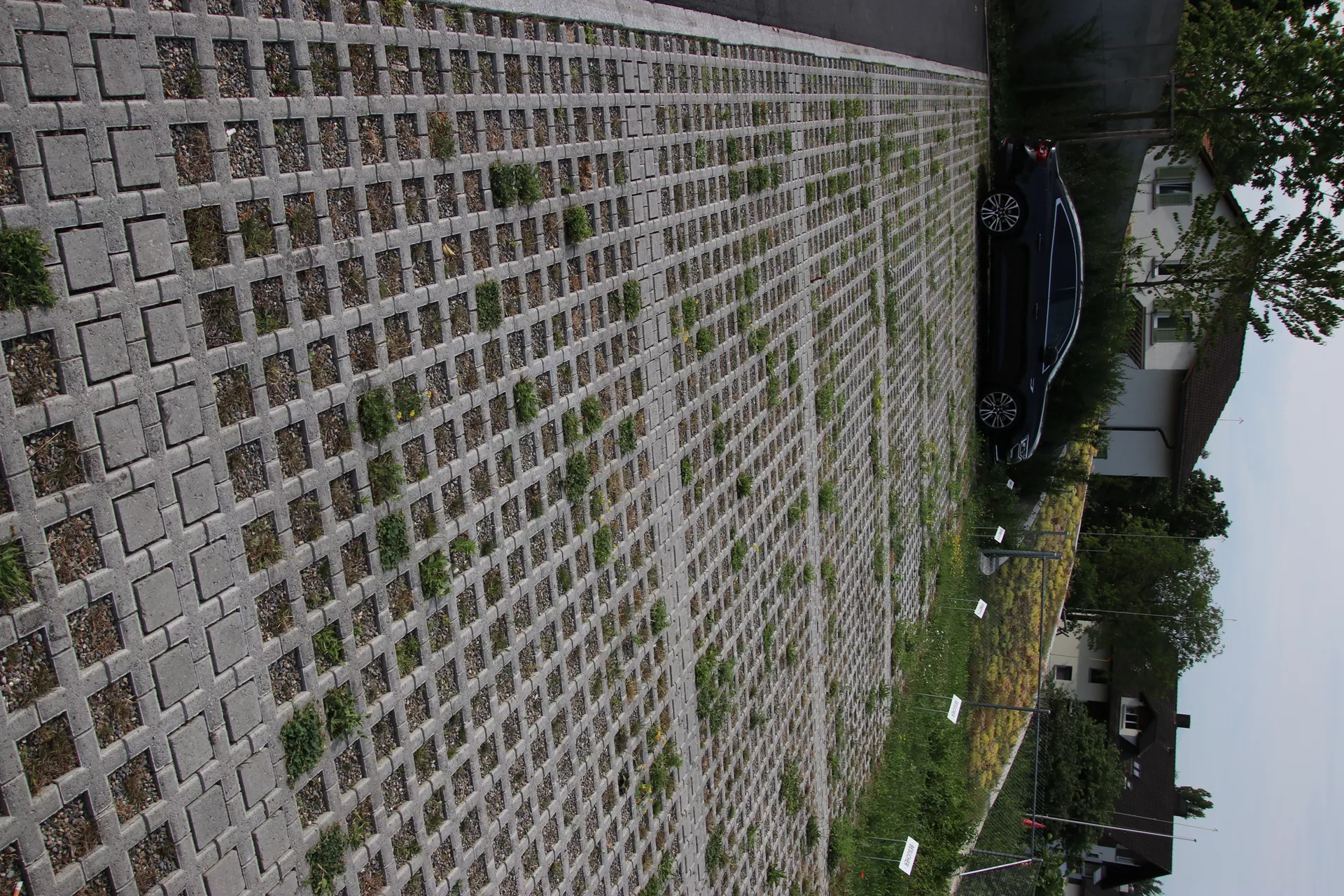 QUADRO Rasengitterstein grau L 58 cm B 47 cm H 10 cm