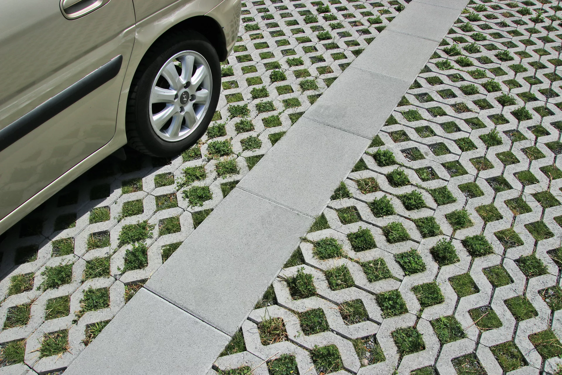 Schrittplatte zu Rasengittersteinen grau glatt gefast L 60 cm B 40 cm H 8 cm