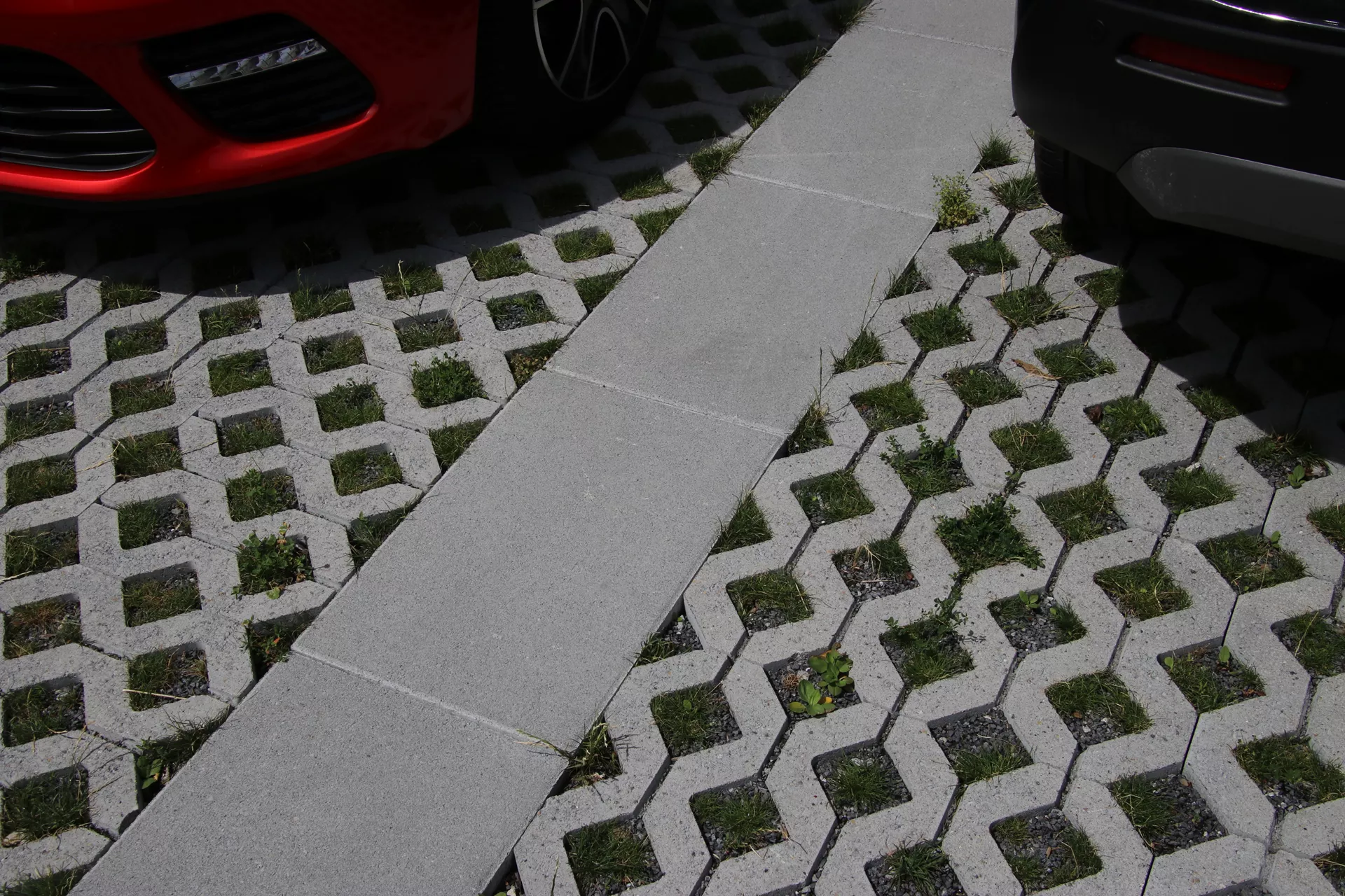 Schrittplatte zu Rasengittersteinen grau glatt gefast L 60 cm B 40 cm H 8 cm