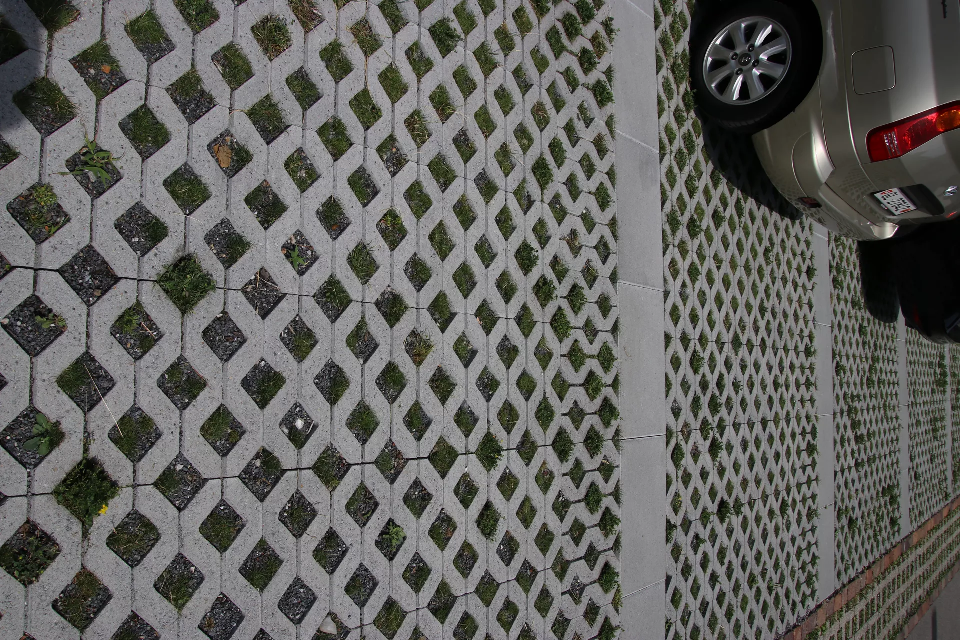 GRISON Rasengitterstein mit Nocken grau glatt L 60.2 cm B 40.2 cm H 8 cm