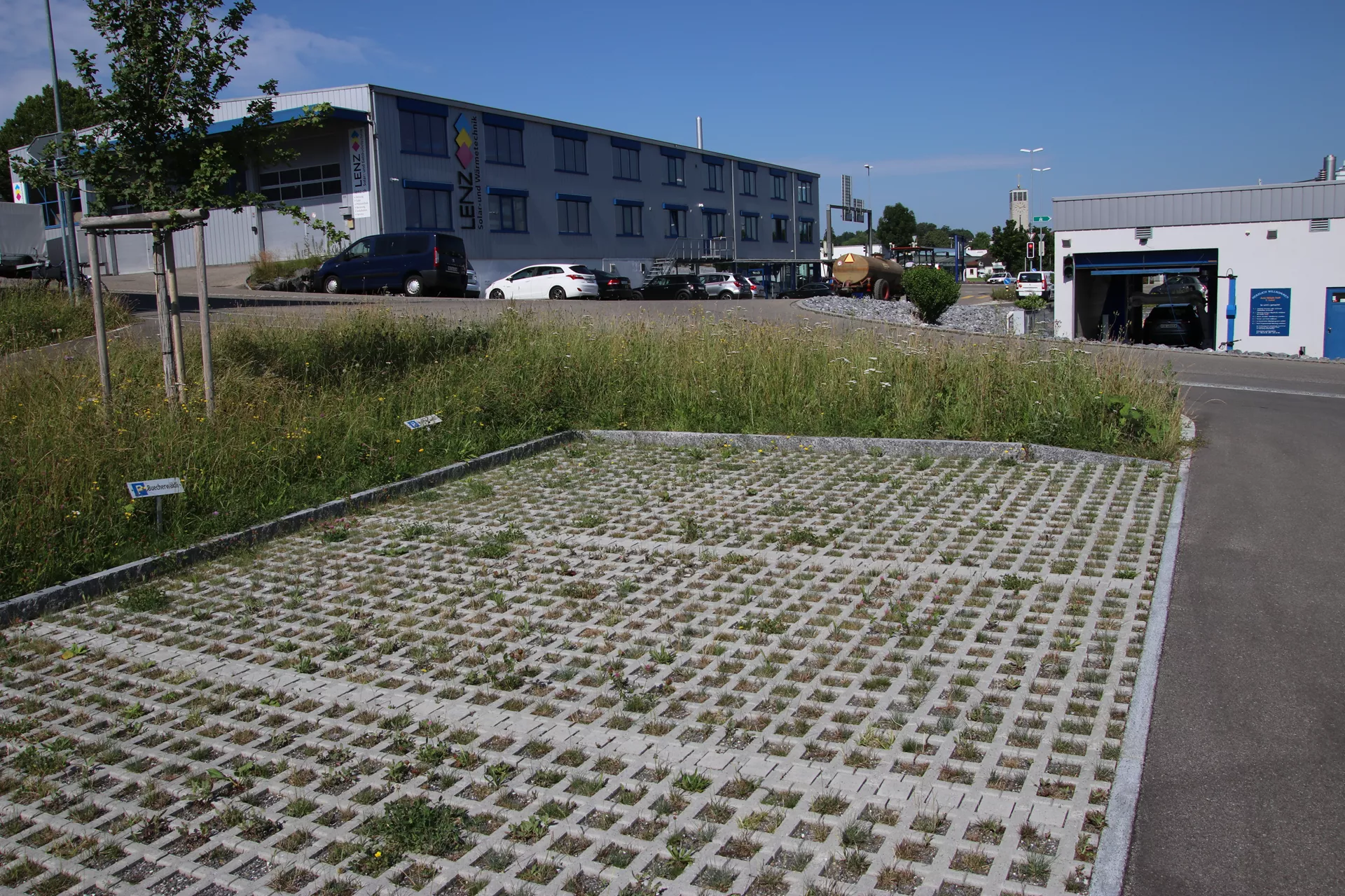 QUADRO Rasengitterstein grau L 58 cm B 47 cm H 10 cm