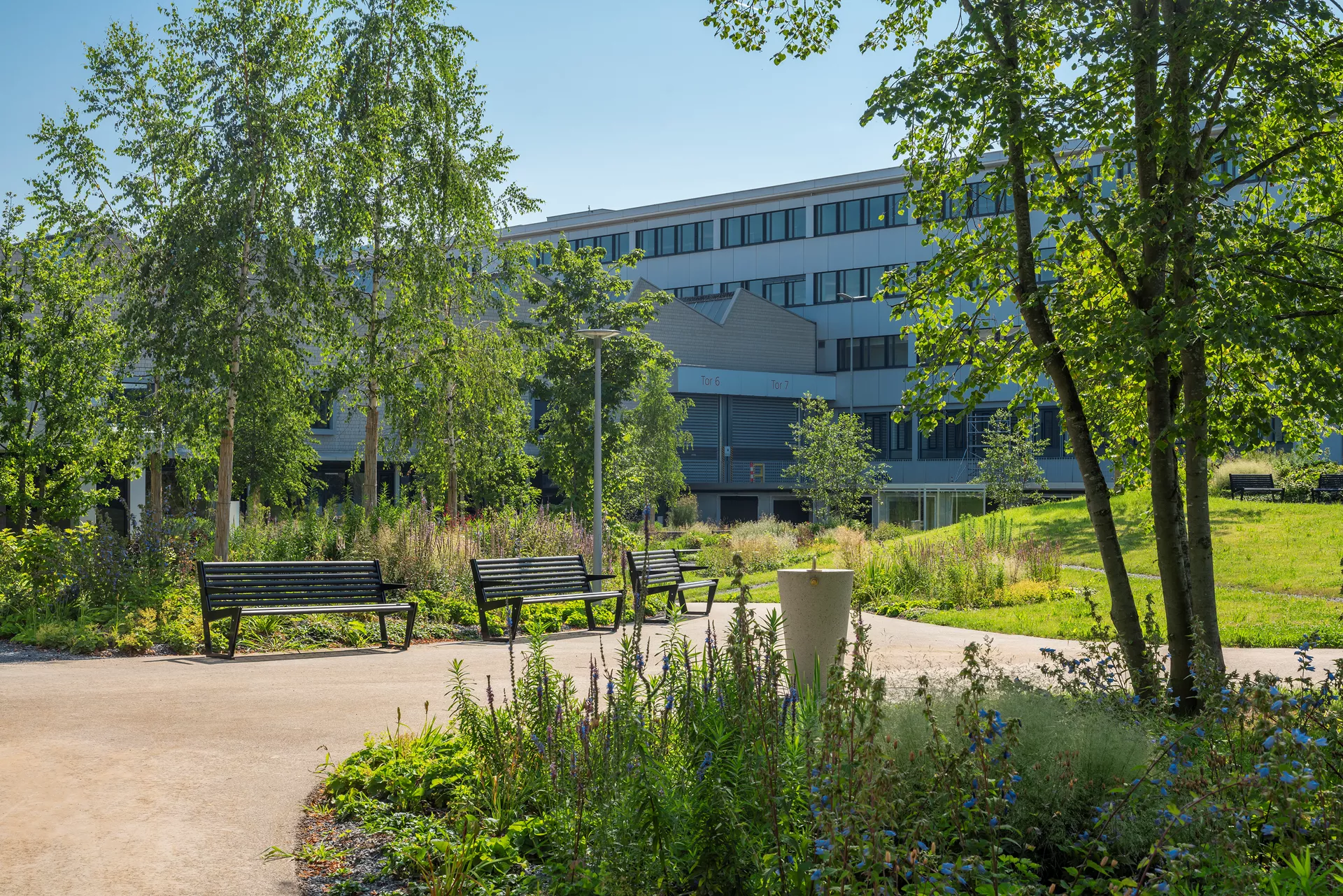 ALRONDA Trinkwasserbrunnen Typ 2 grau glatt gefast inkl. Einlaufrohr 1/2" u. Versetzhülse D 60 - 80 cm H 100 cm
