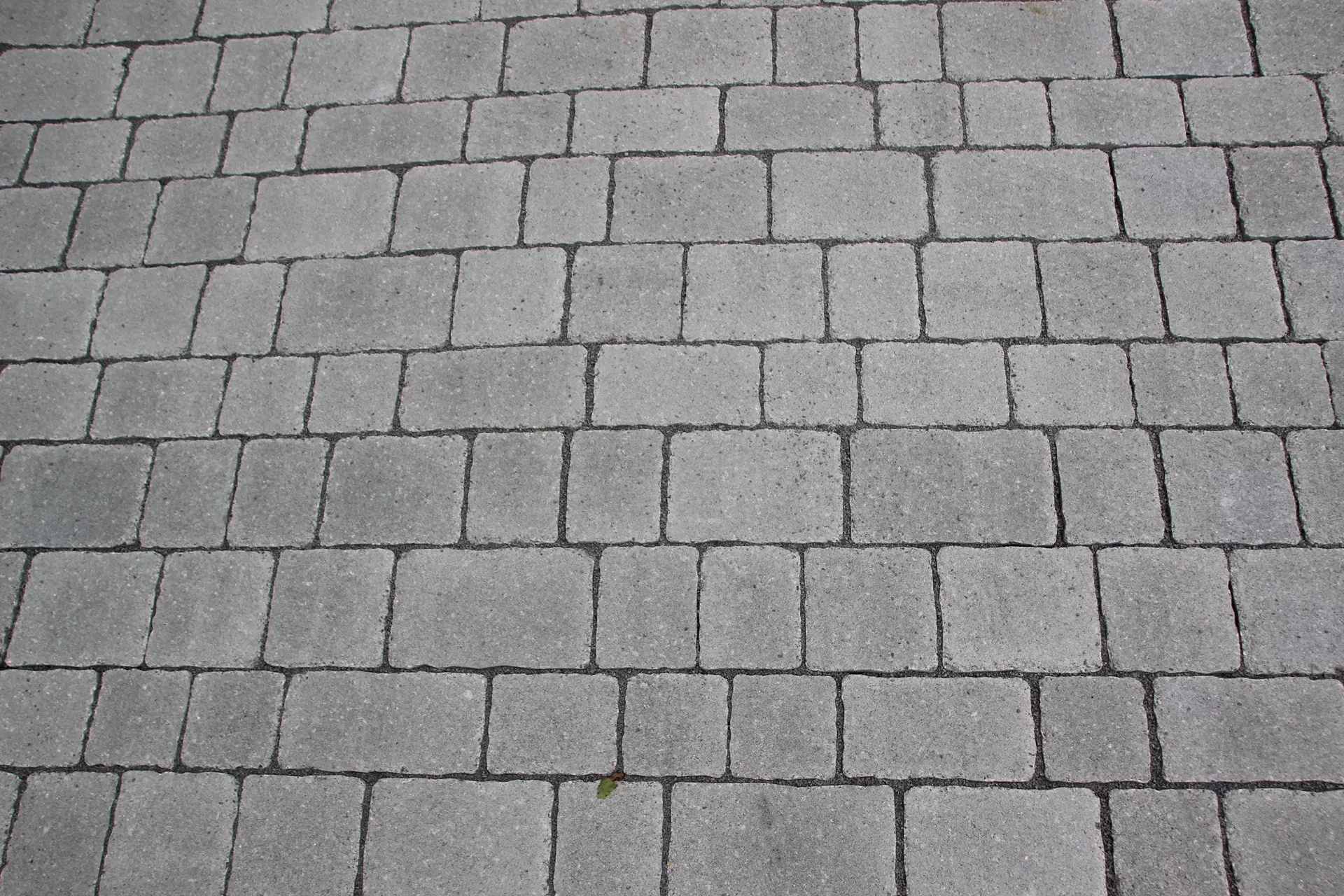 FRIEDA Wildpflaster perlgrau strukturiert Kanten gebr. L 9.4-19.4 cm B 9.4-11.9 cm H 7 cm