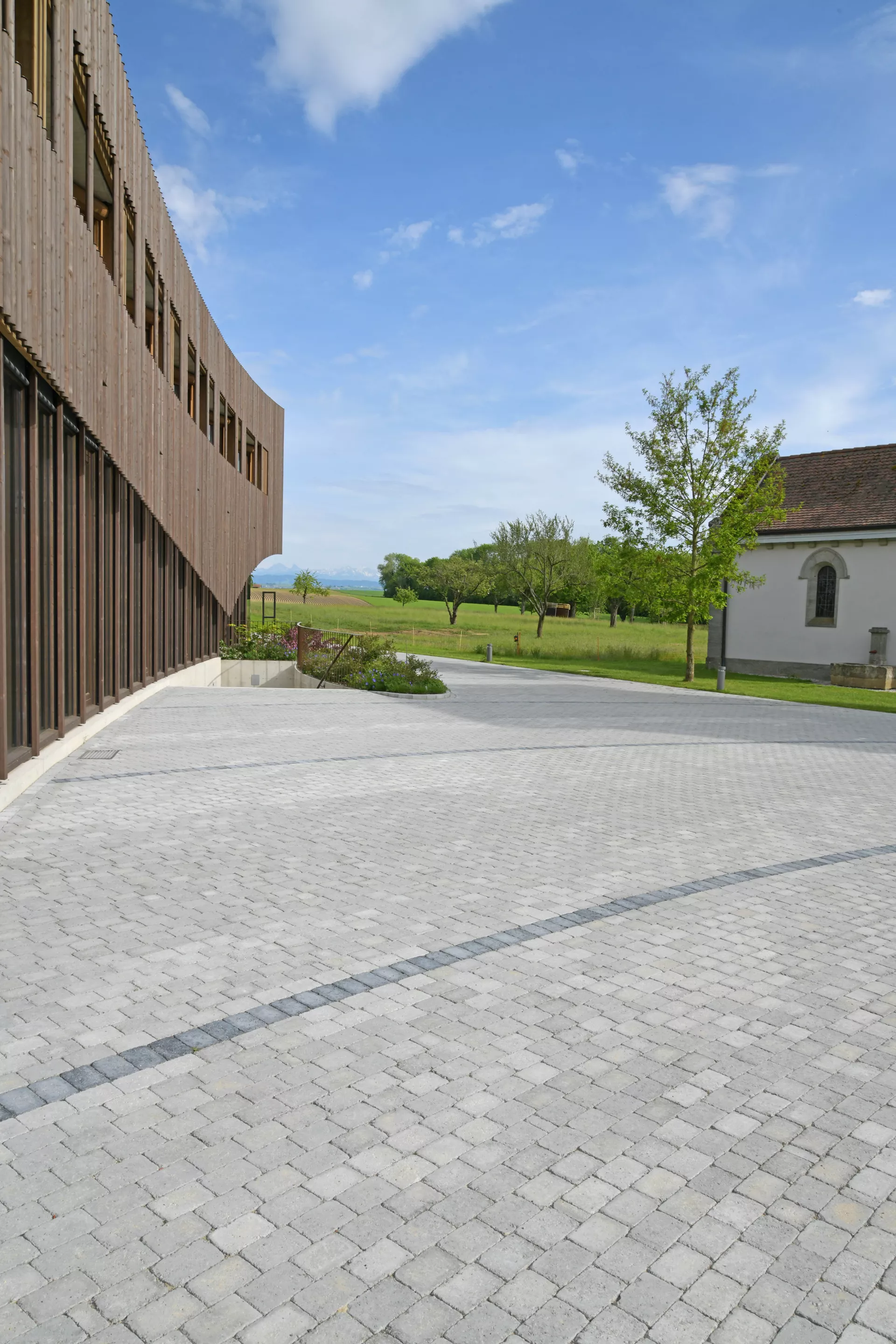 TEGULA Pflasterstein grau glatt Kanten gebrochen L 16 cm B 11 cm H 6 cm