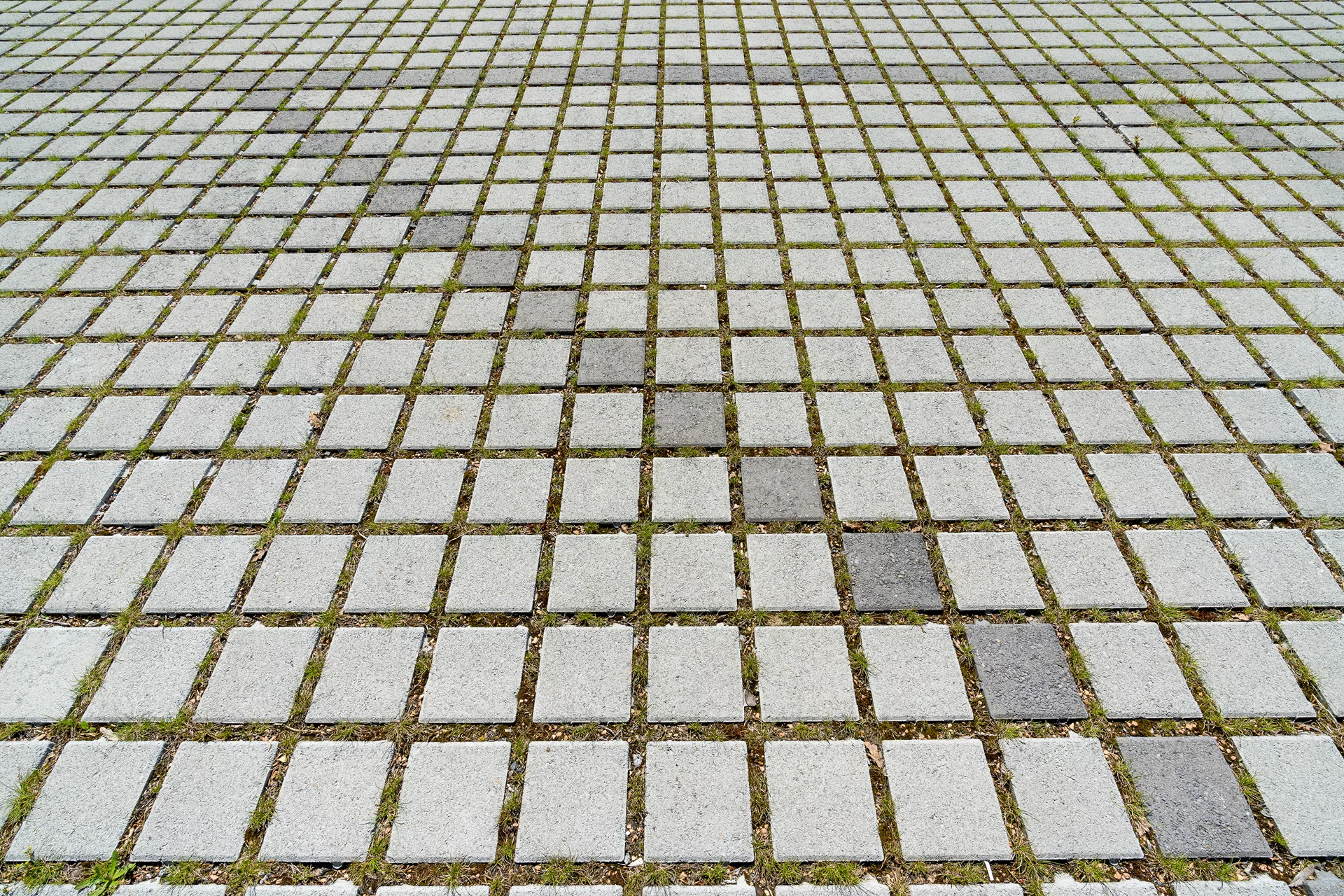 CLASSIC RASEN Ökostein mit Nocken grau glatt gefast L 20 cm B 20 cm H 8 cm