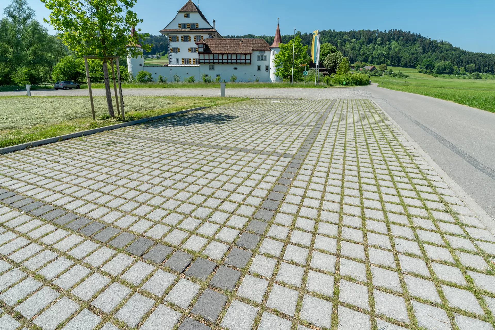 CLASSIC RASEN Ökostein mit Nocken grau glatt gefast L 20 cm B 20 cm H 8 cm