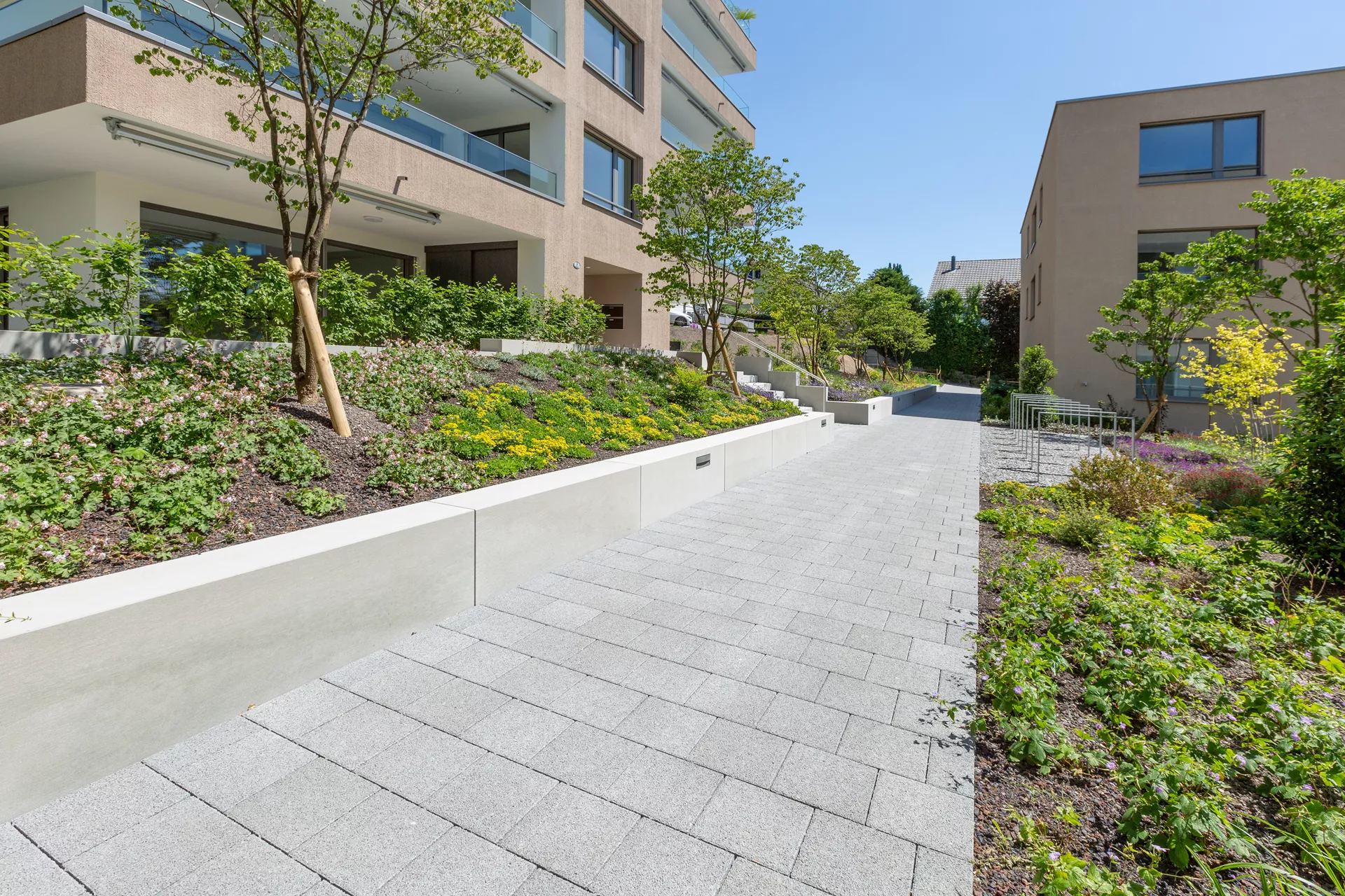 CARENA Sickerstein fino mit Nocken grau haufwerksporig gefast L 25 cm B 25 cm H 6 cm