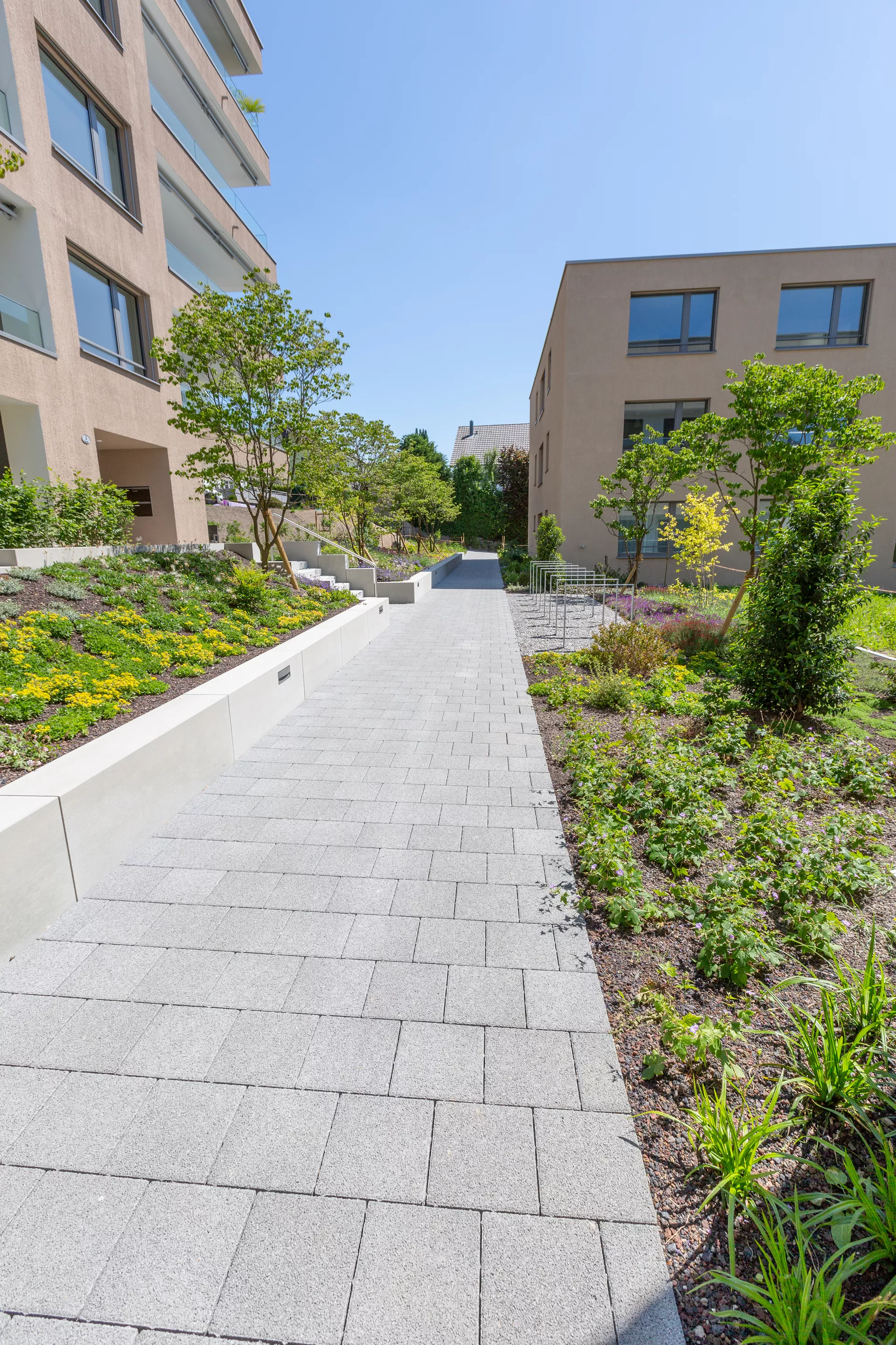 CARENA Sickerstein fino mit Nocken grau haufwerksporig gefast L 25 cm B 25 cm H 6 cm