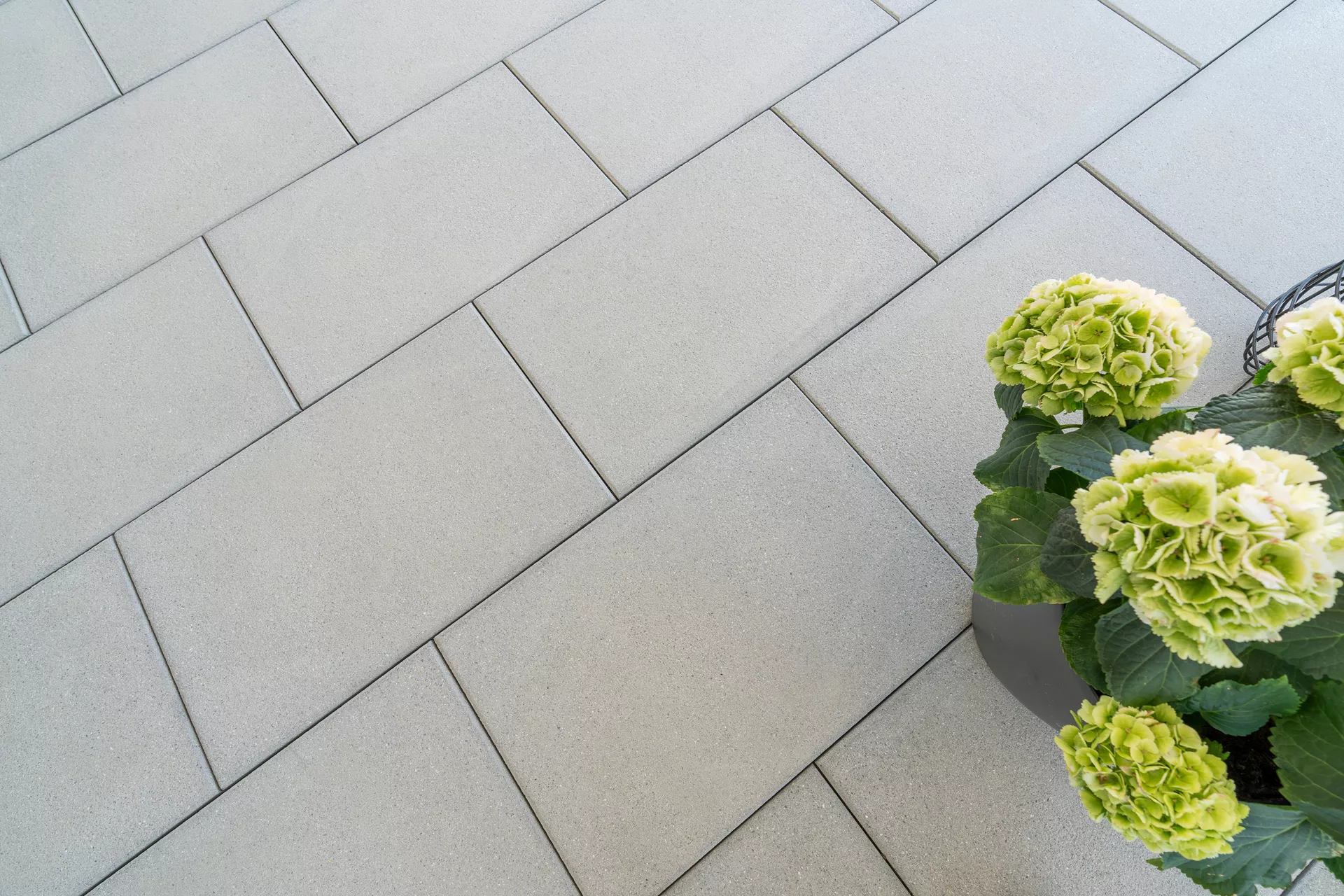 PARCO FINA Gartenplatte grau gestrahlt gefast L 60 cm B 40 cm H 3 cm