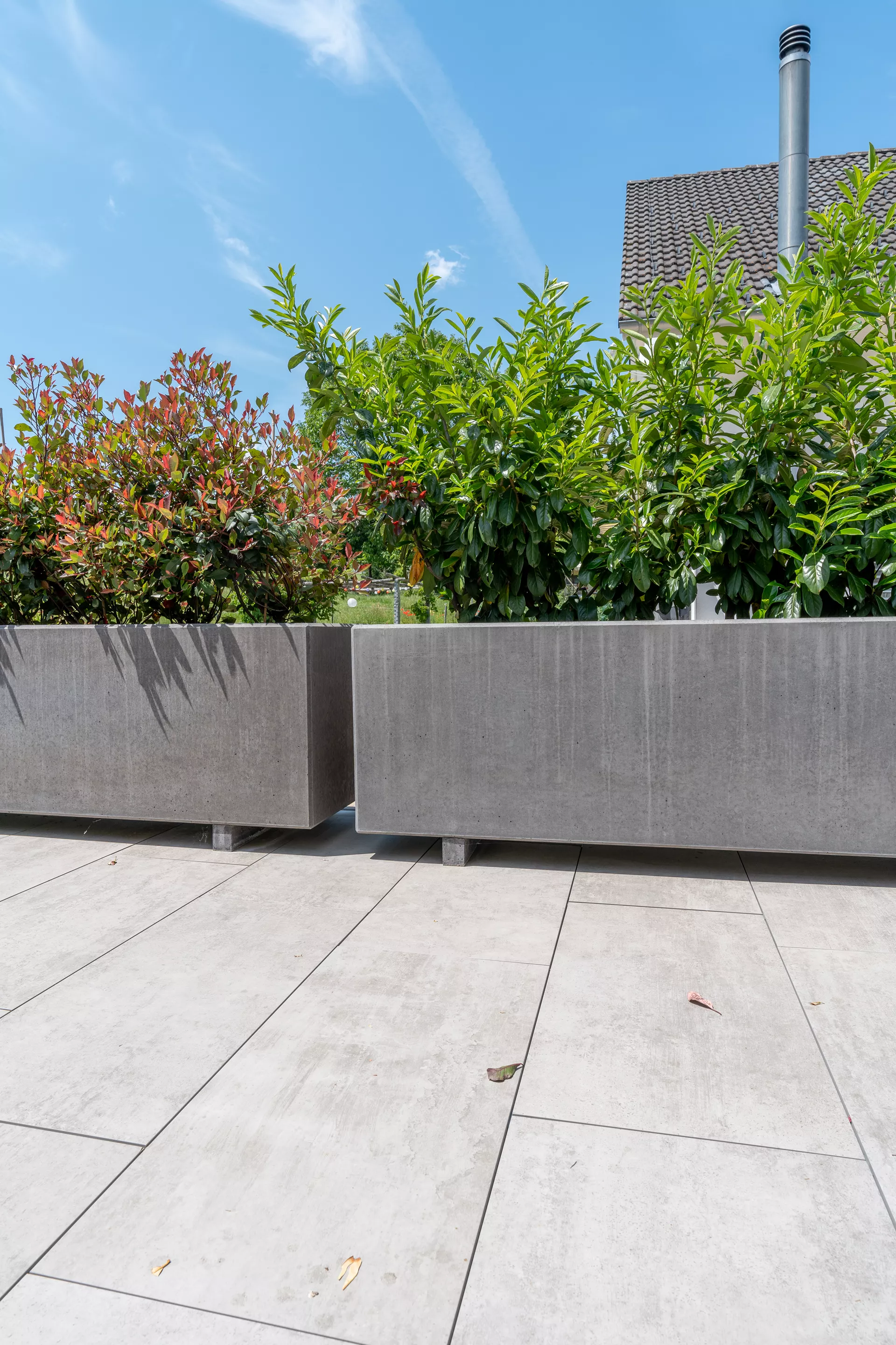 PARCO Pflanzentrog rechteckig anthrazit glatt L 200 cm B 60 cm H 60 cm W 5 cm