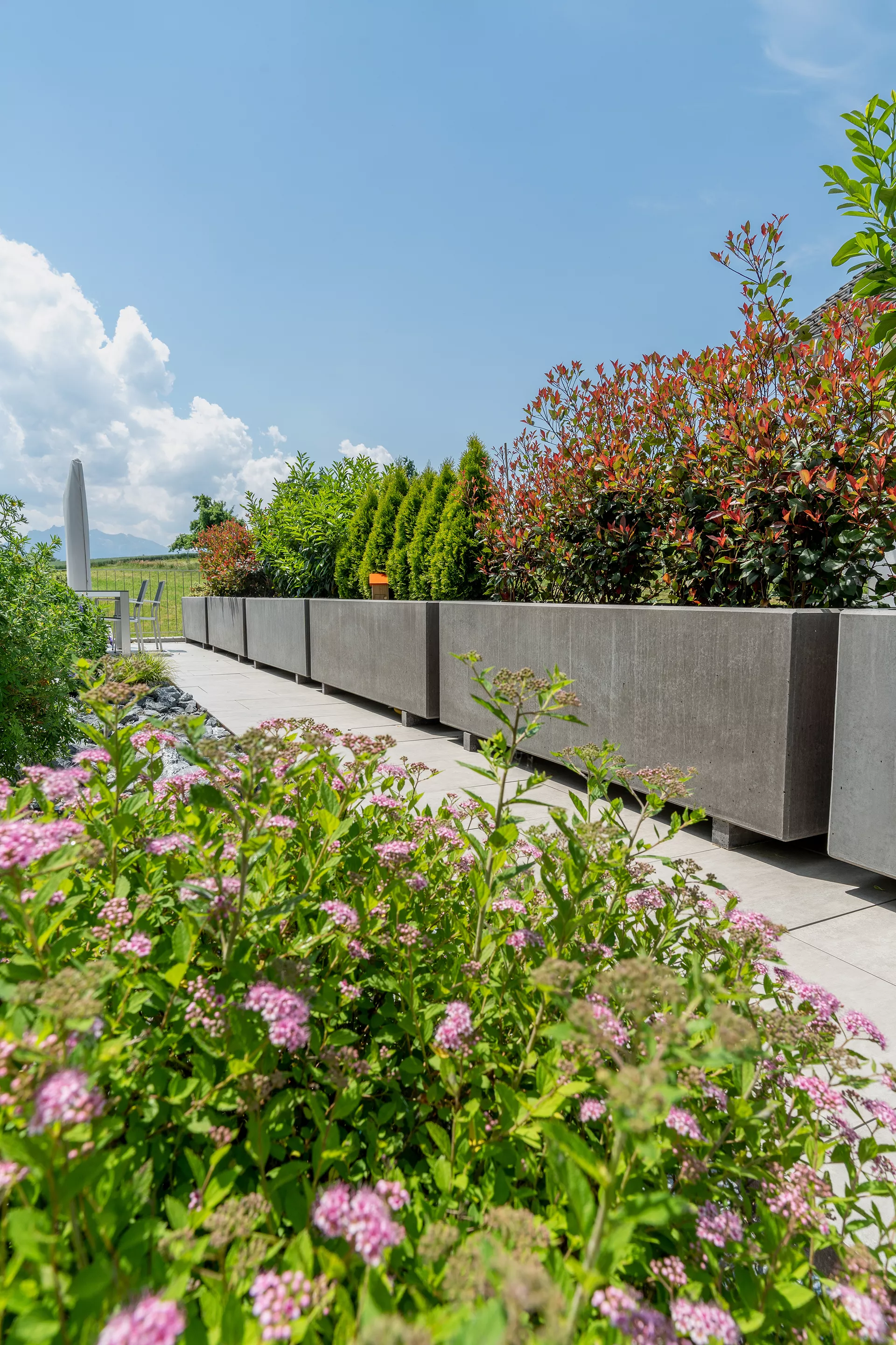 PARCO Pflanzentrog rechteckig anthrazit glatt L 150 cm B 50 cm H 50 cm W 5 cm