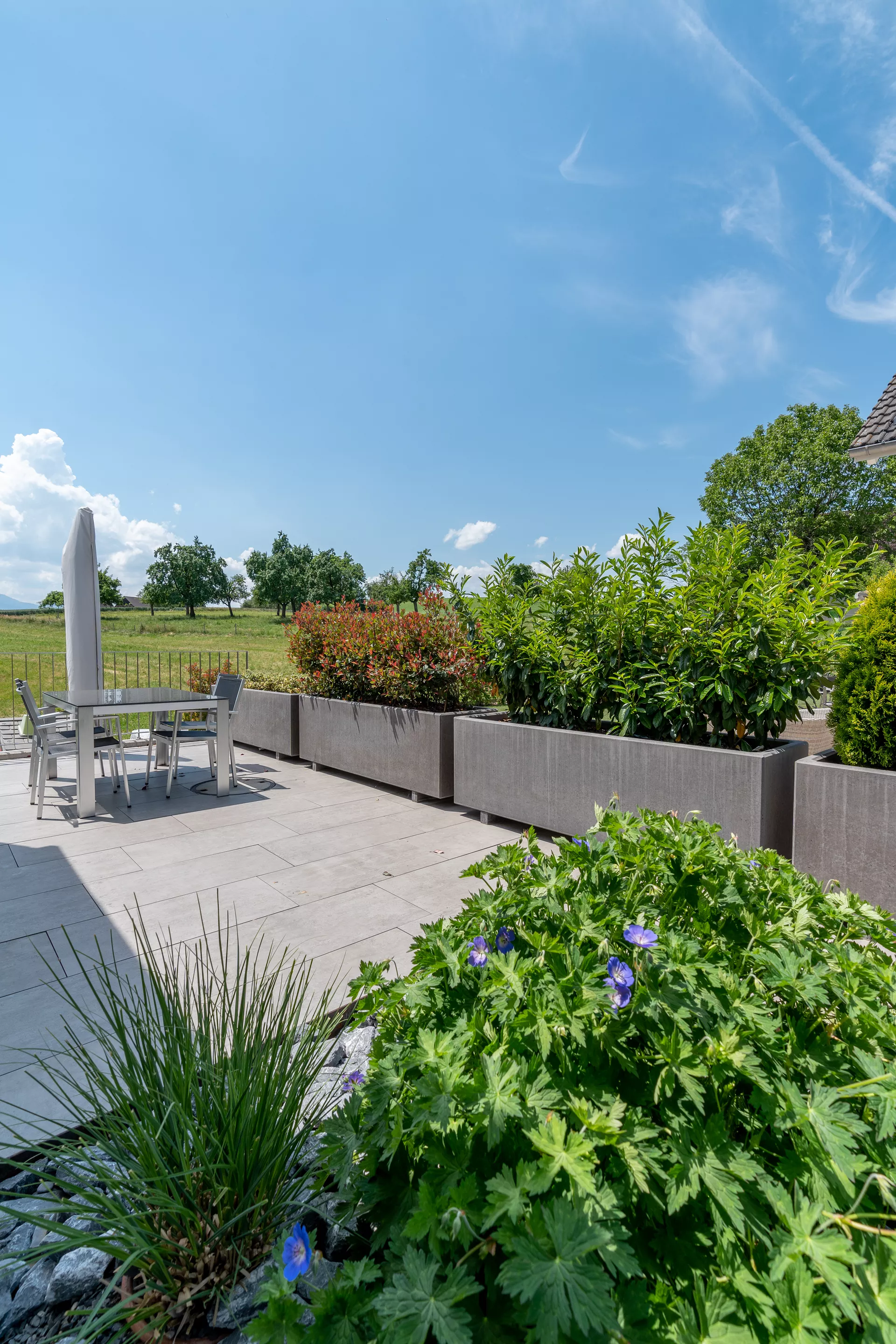 PARCO Pflanzentrog rechteckig anthrazit glatt L 200 cm B 60 cm H 60 cm W 5 cm