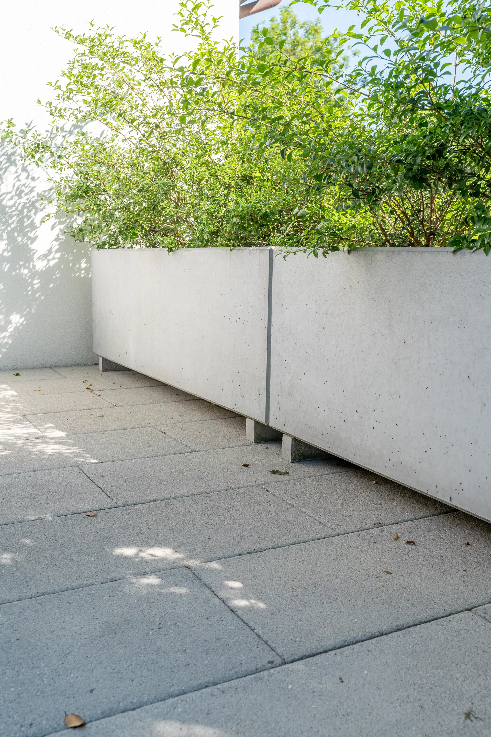 PARCO Pflanzentrog rechteckig grau glatt L 200 cm B 50 cm H 50 cm W 5 cm