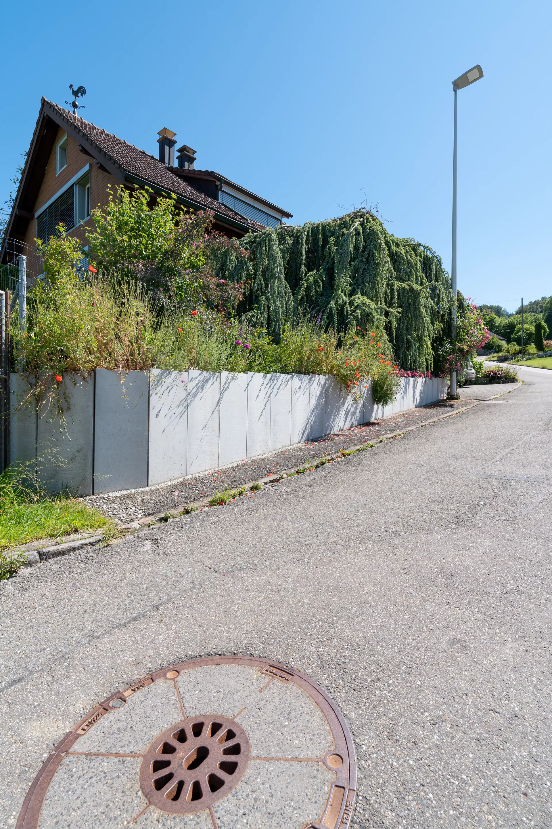 Betonbrett gegossen leicht bewehrt grau glatt vollkantig L 150 cm B 4 cm H 30 cm