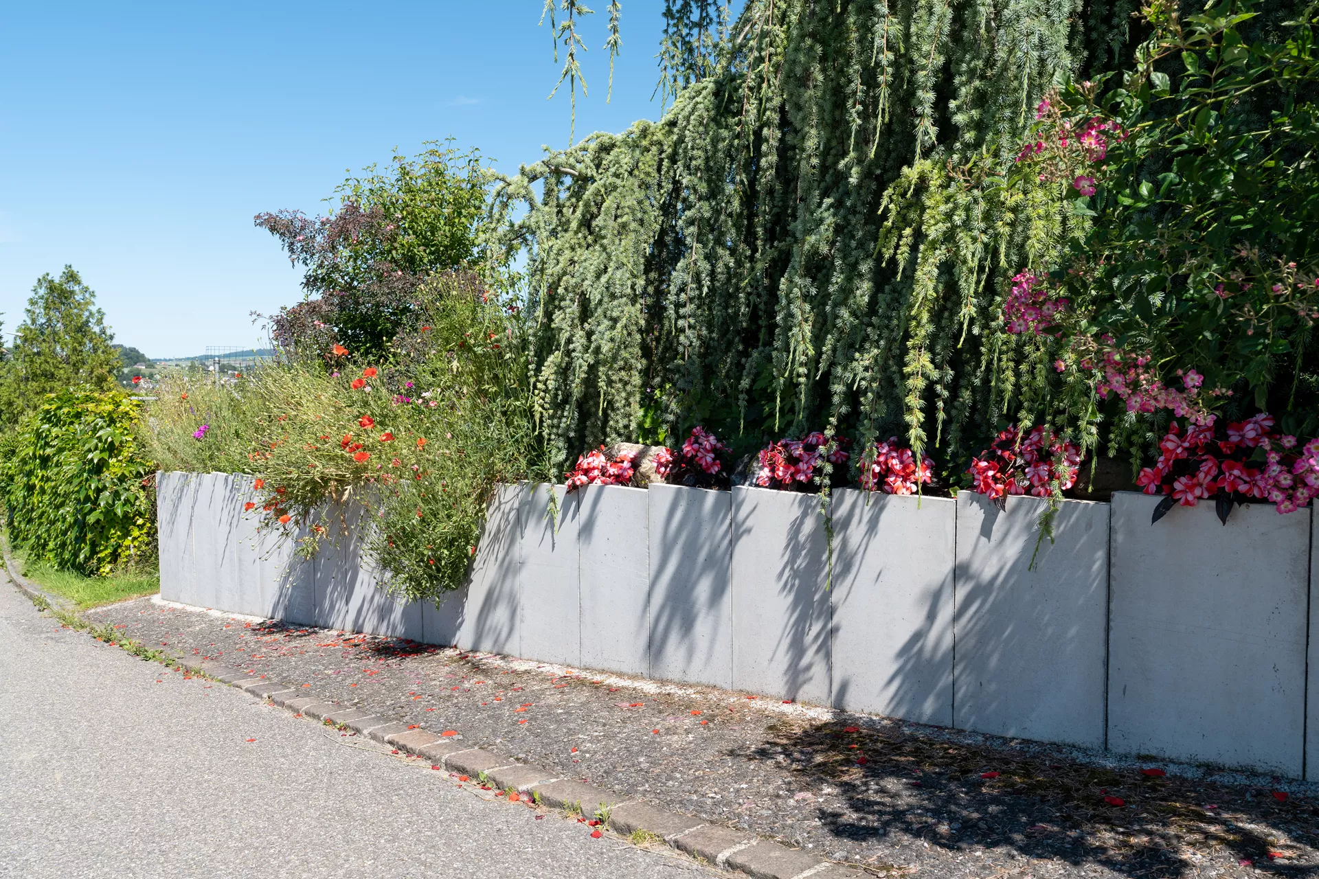 Betonbrett gegossen leicht bewehrt grau glatt vollkantig L 150 cm B 4 cm H 30 cm