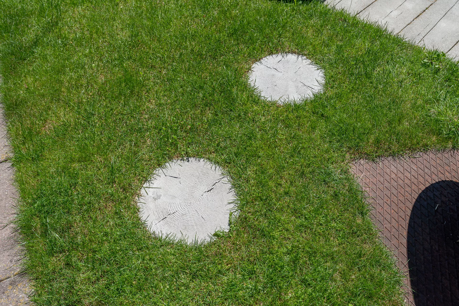 LENIA Schrittplatte rund mit Holzstruktur naturgrau strukturiert gerundet D 35-37.5 cm H 4 cm