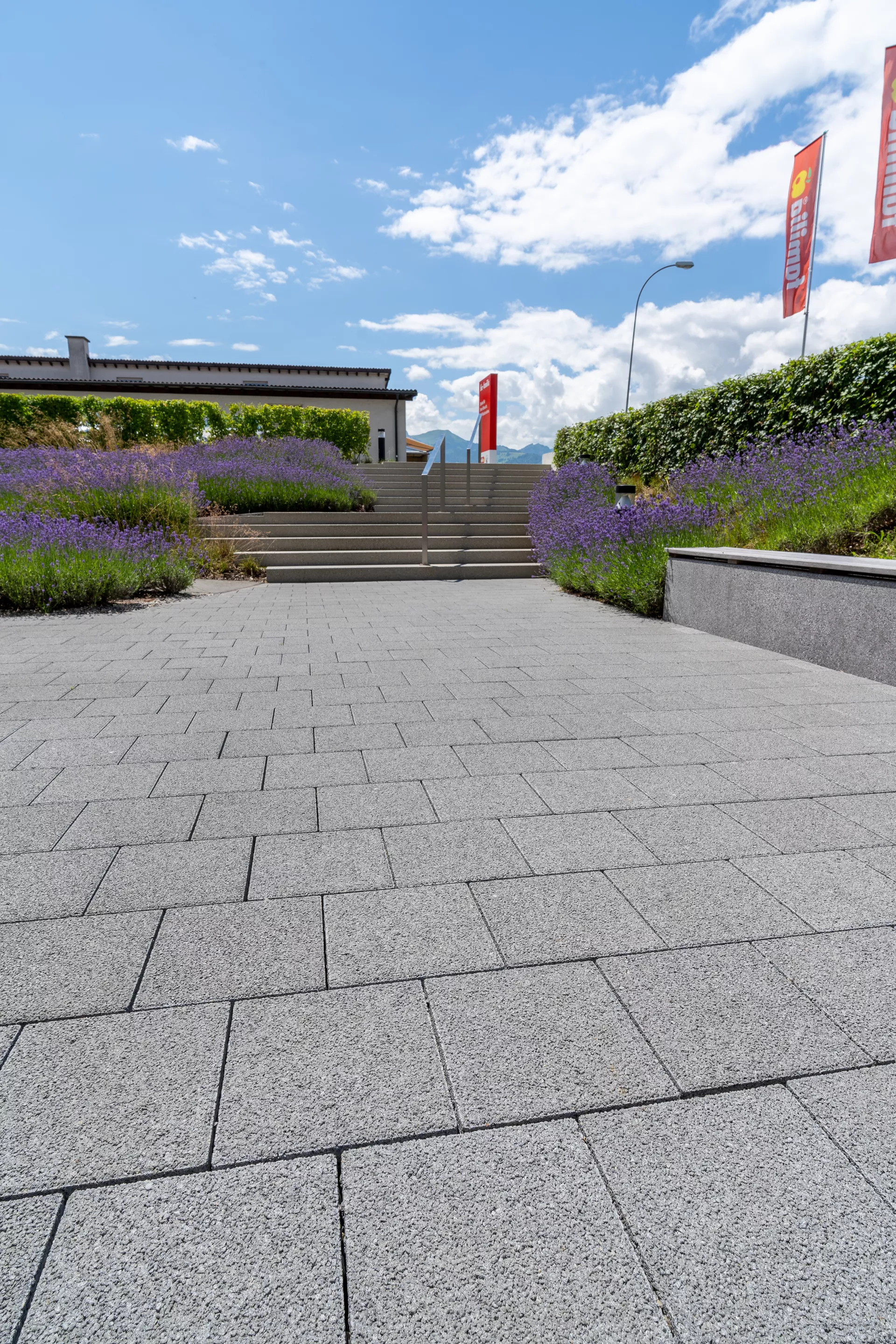 CARENA Sickerstein fino mit Nocken grau haufwerksporig gefast L 25 cm B 25 cm H 6 cm