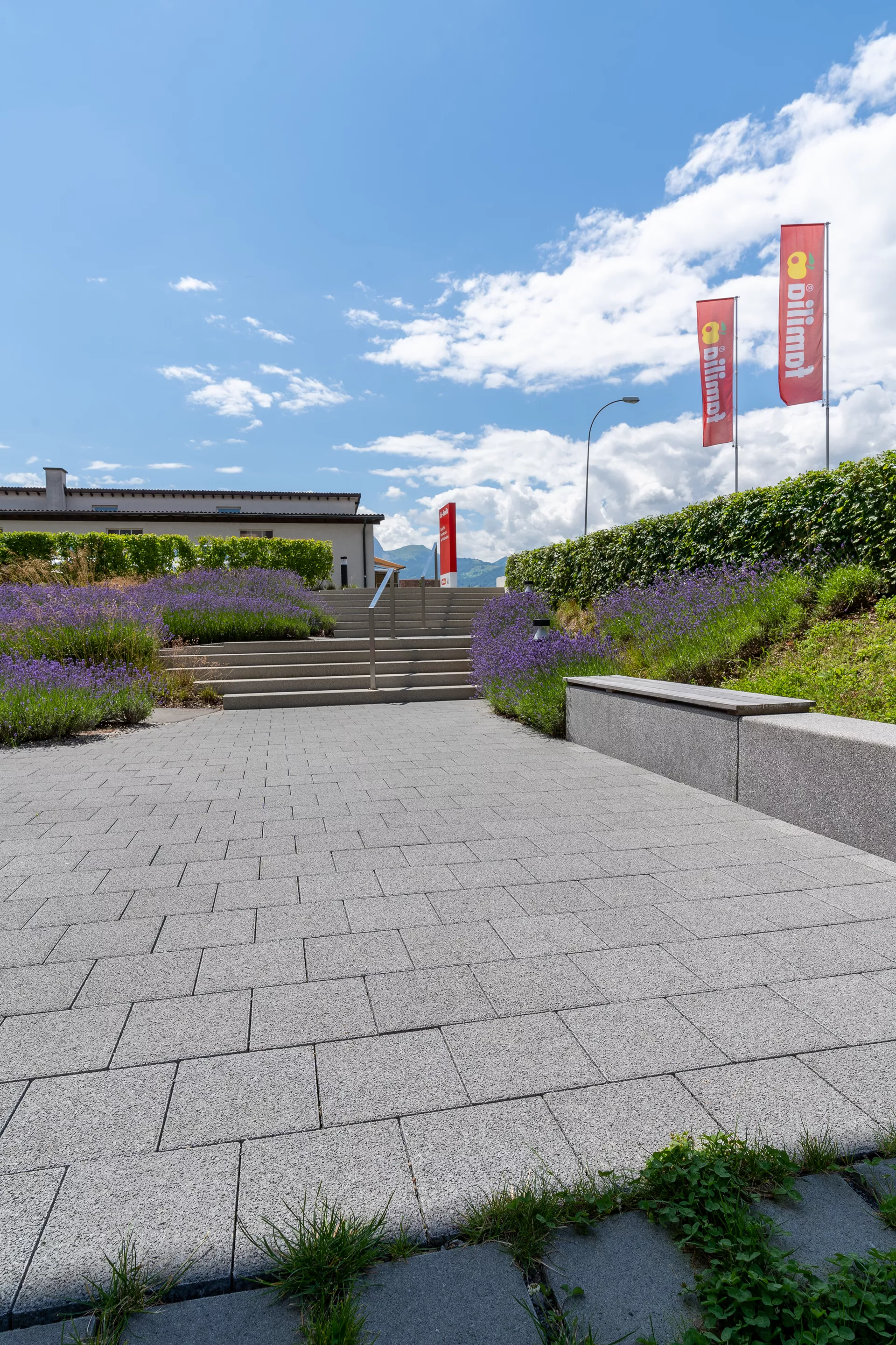 CARENA Sickerstein fino mit Nocken grau haufwerksporig gefast L 25 cm B 25 cm H 6 cm