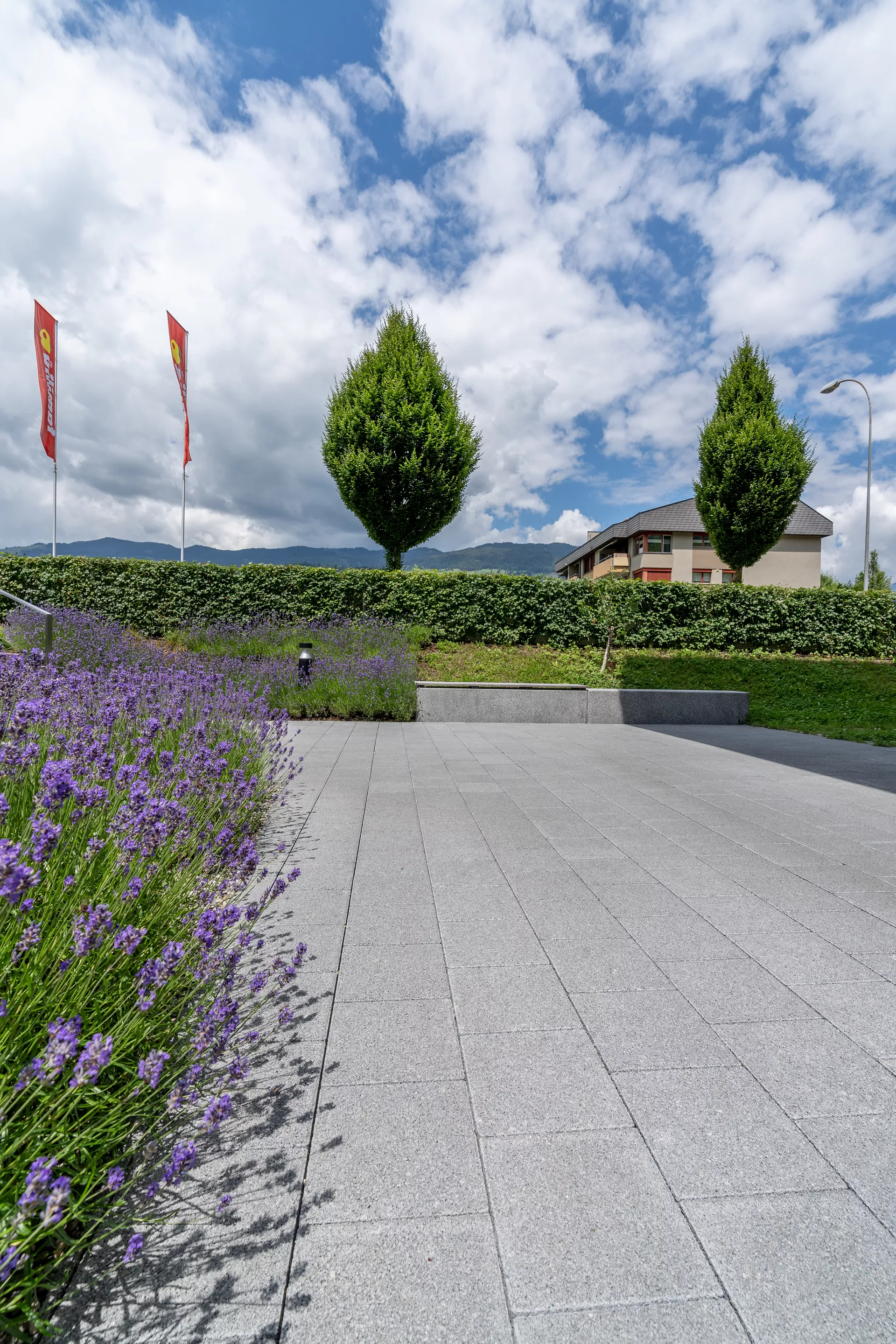 CARENA Sickerstein fino mit Nocken grau haufwerksporig gefast L 25 cm B 25 cm H 6 cm