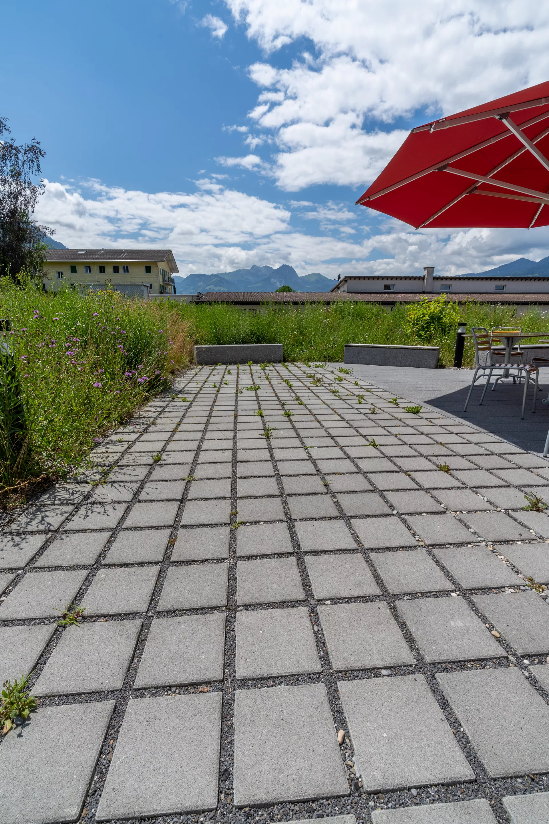 CARENA RASEN Ökostein mit Nocken grau glatt gefast L 25 cm B 25 cm H 8 cm