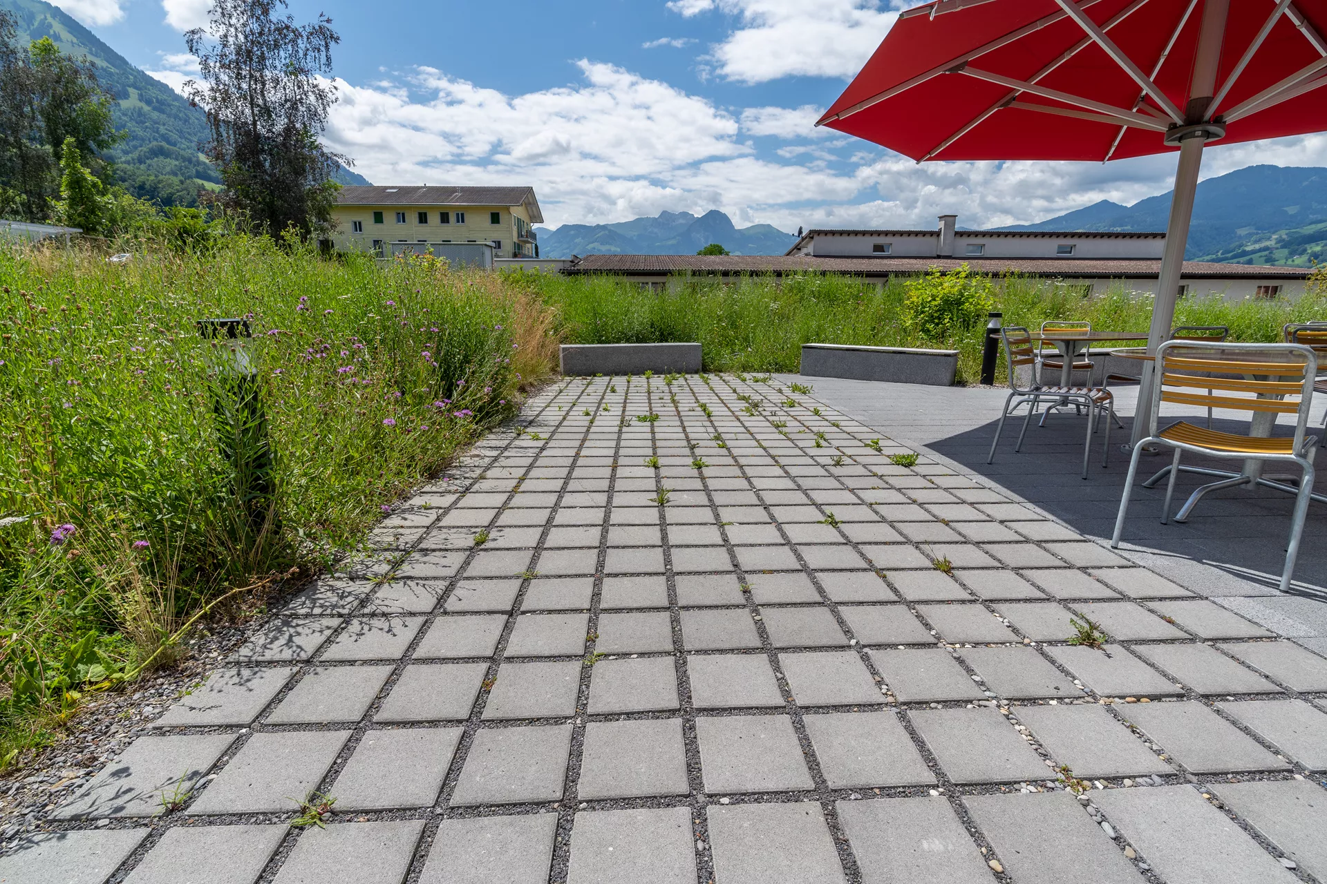 CARENA RASEN Ökostein mit Nocken grau glatt gefast L 25 cm B 25 cm H 8 cm