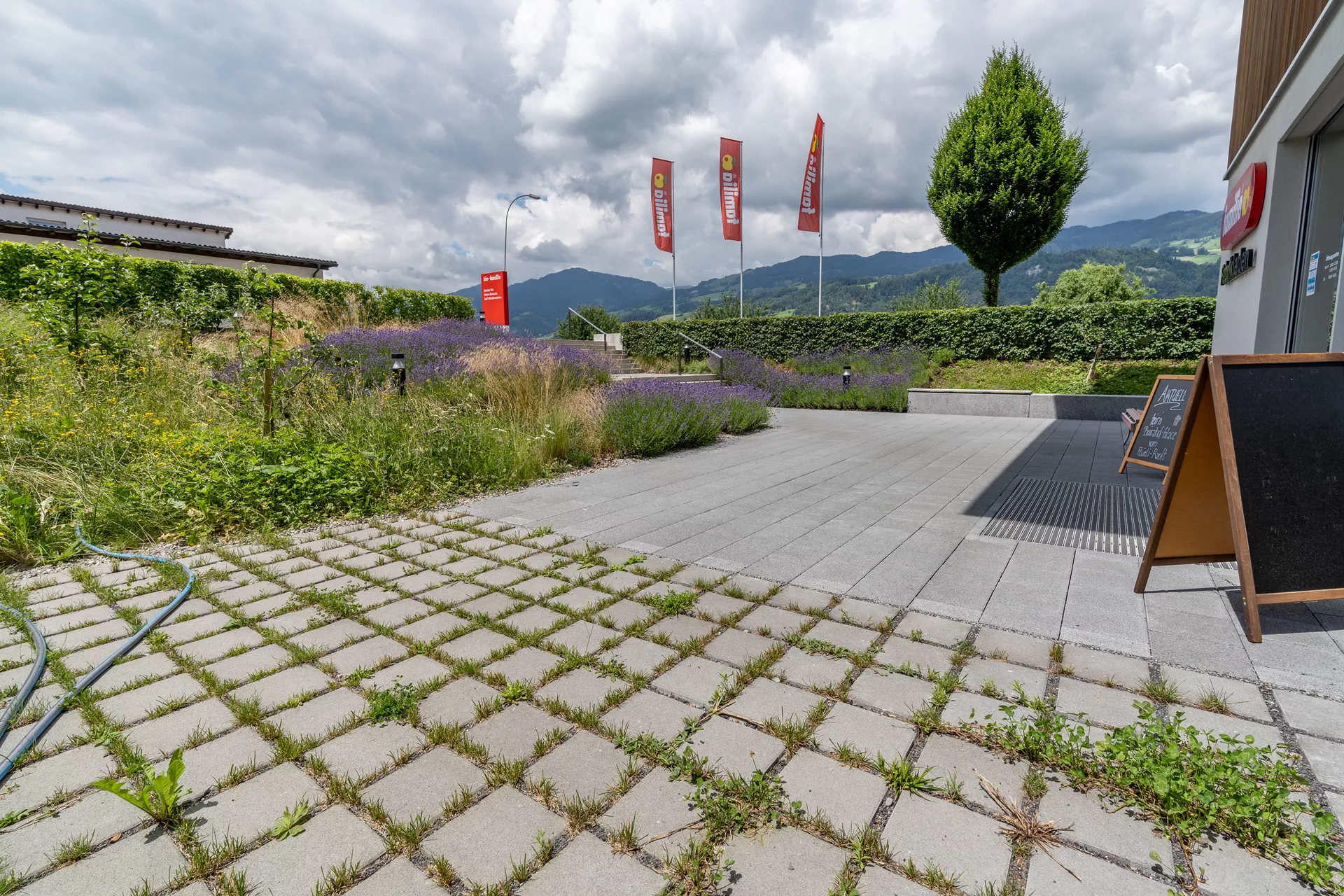 CARENA RASEN Ökostein mit Nocken grau glatt gefast L 25 cm B 25 cm H 8 cm