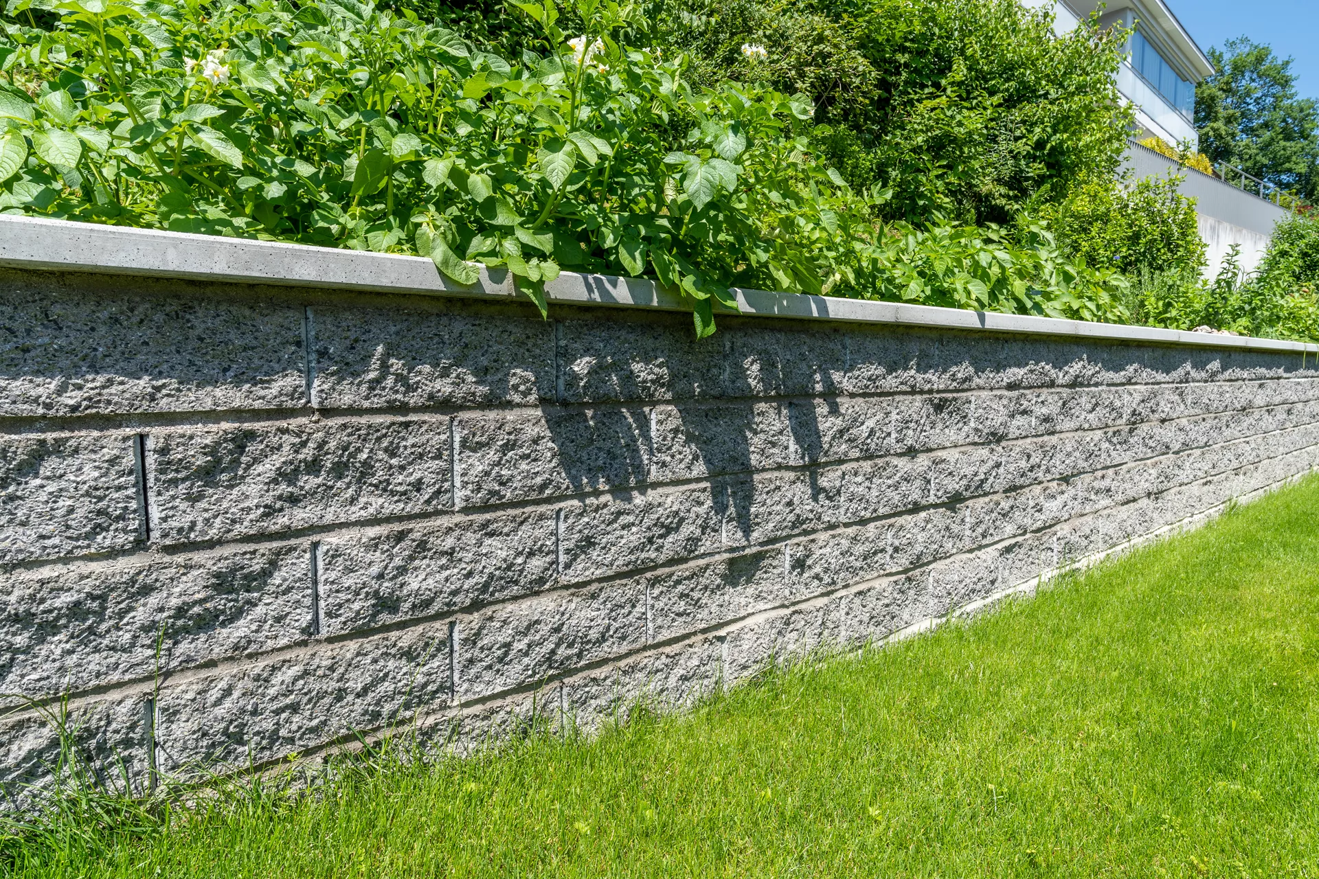 Spaltstein Normalstein 1-seitig gespalten grau mit Splittkorn L 38 cm B 19 cm H 13.5 cm