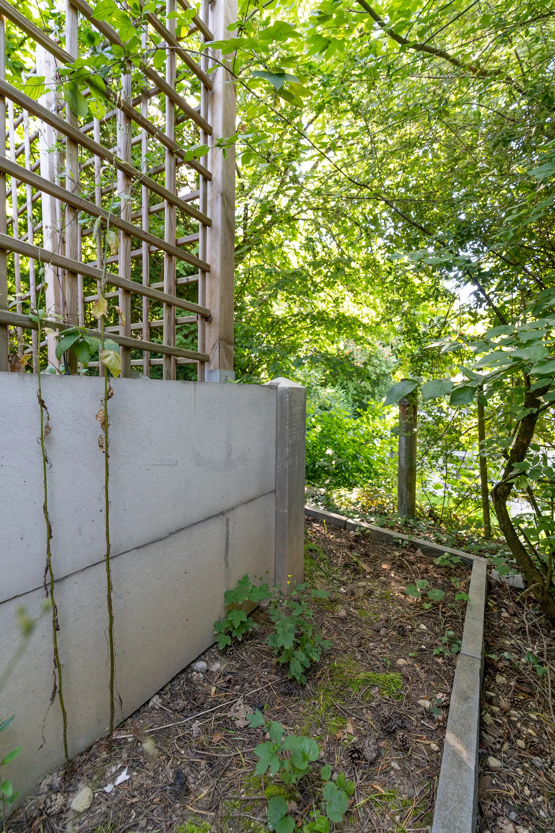 Betonbrett gegossen leicht bewehrt grau glatt vollkantig L 150 cm B 4 cm H 30 cm