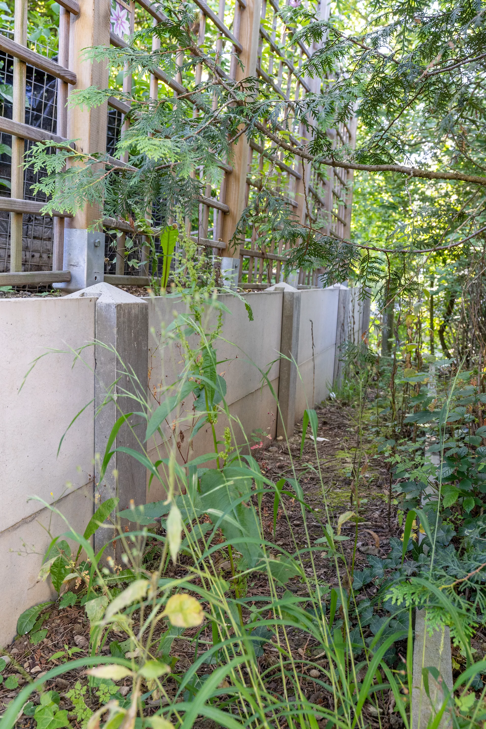 Betonbrett gegossen leicht bewehrt grau glatt vollkantig L 150 cm B 4 cm H 30 cm