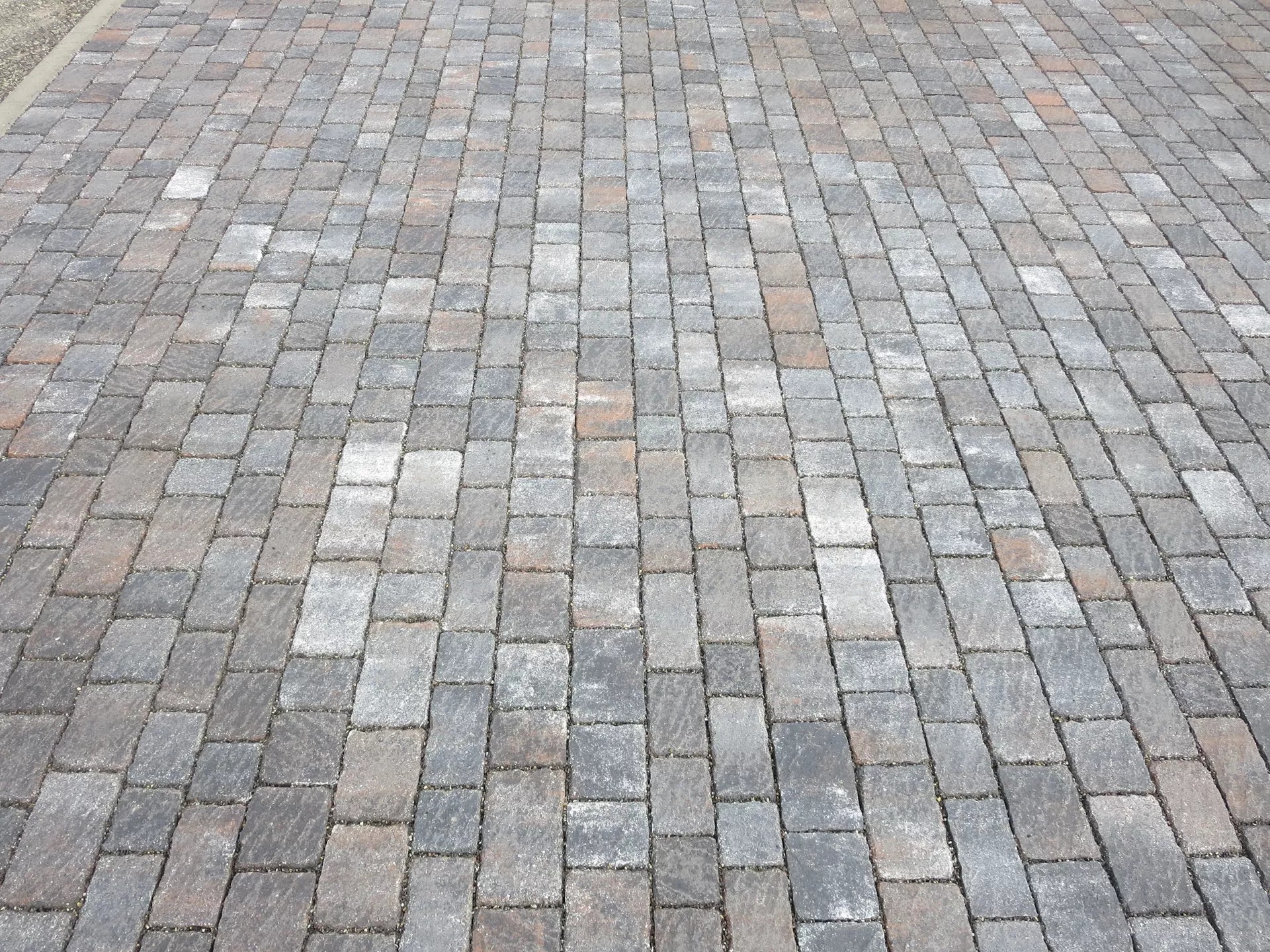 FRIEDA Wildpflaster natura strukturiert Kanten gebr. L 9.4-19.4 cm B 9.4-11.9 cm H 7 cm