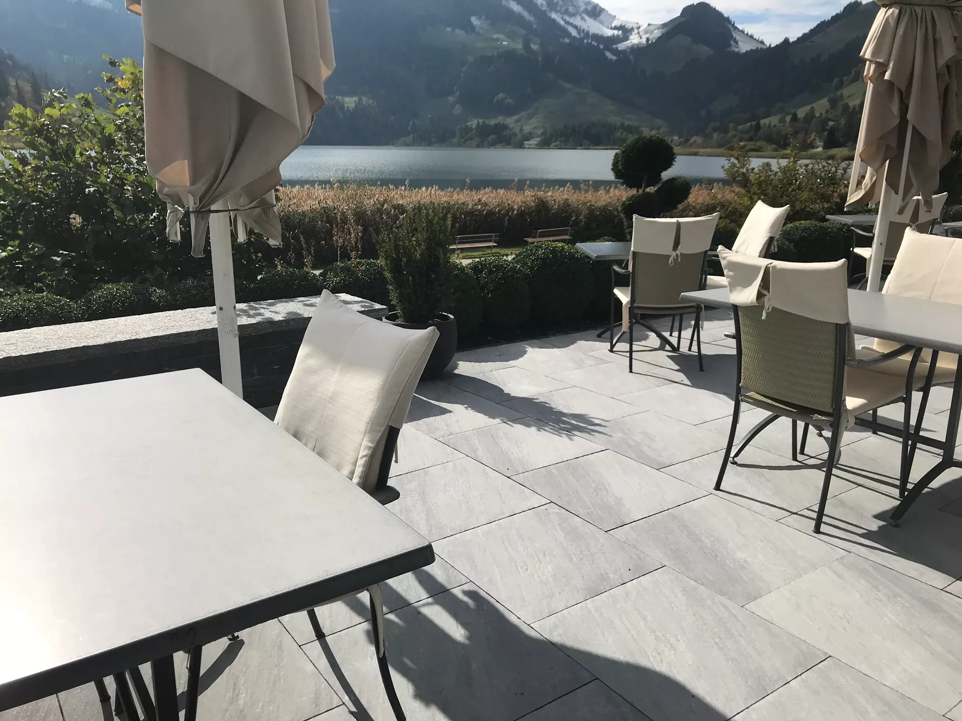 NATURE MOMENTS Gartenplatte dunkelgrau mit Schieferstruktur vollkantig L 60 cm B 60 cm H 5.5 cm