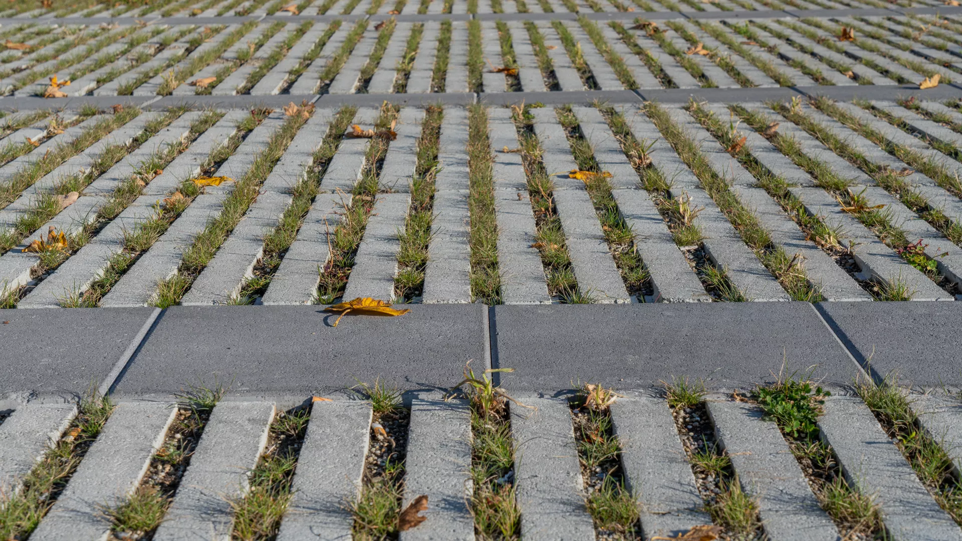 RAINA Rasenliner mit Verschiebesicherung grau glatt L 60 cm B 40 cm H 10 cm