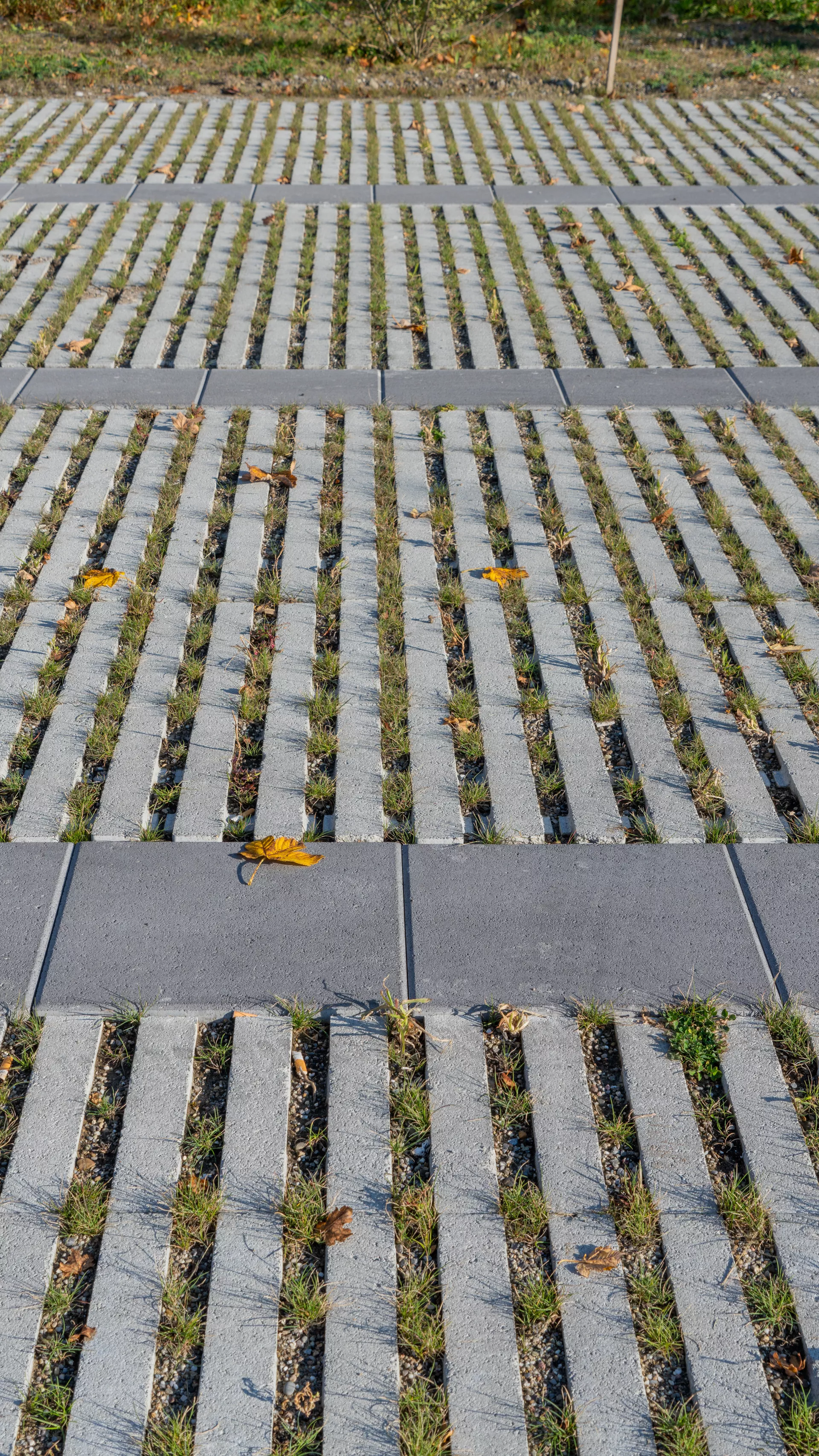 RAINA Rasenliner mit Verschiebesicherung grau glatt L 60 cm B 40 cm H 10 cm