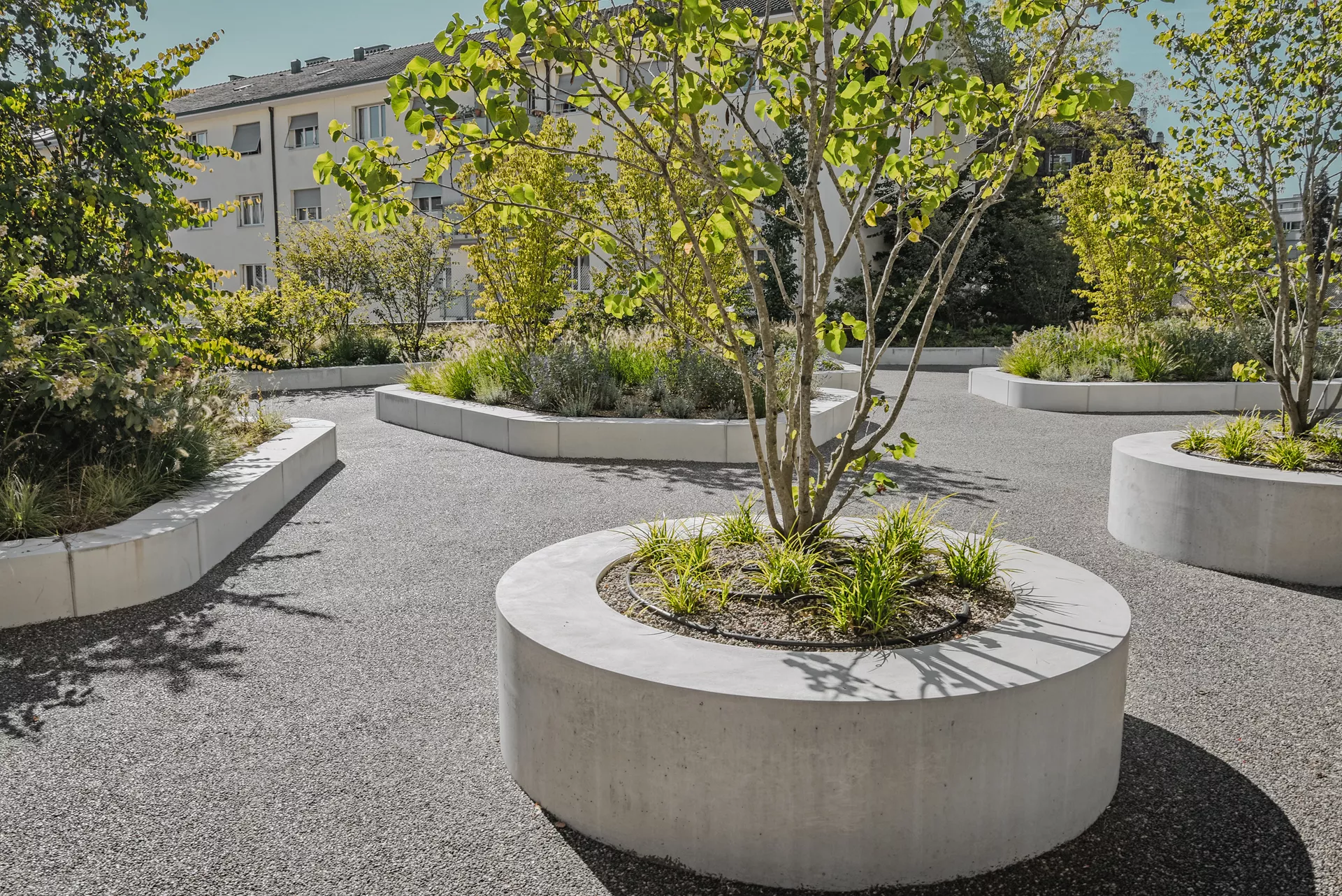 ARBOSO Sitzbankelement rund grau glatt vollkantig ohne Boden D 224 cm H 60 cm