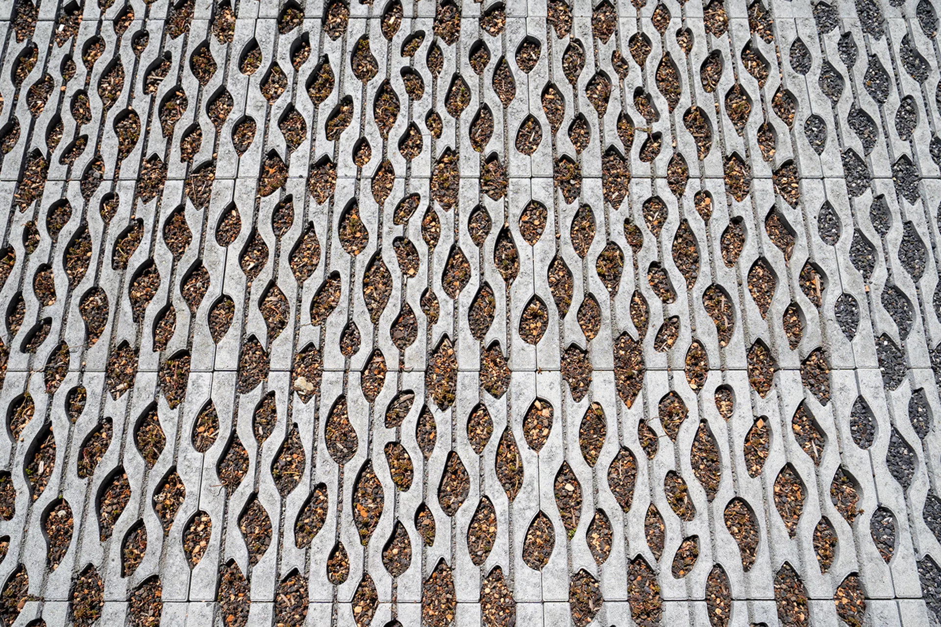 SENTONI Rasengitterstein mit Nocken grau glatt L 60 cm B 40 cm H 10 cm