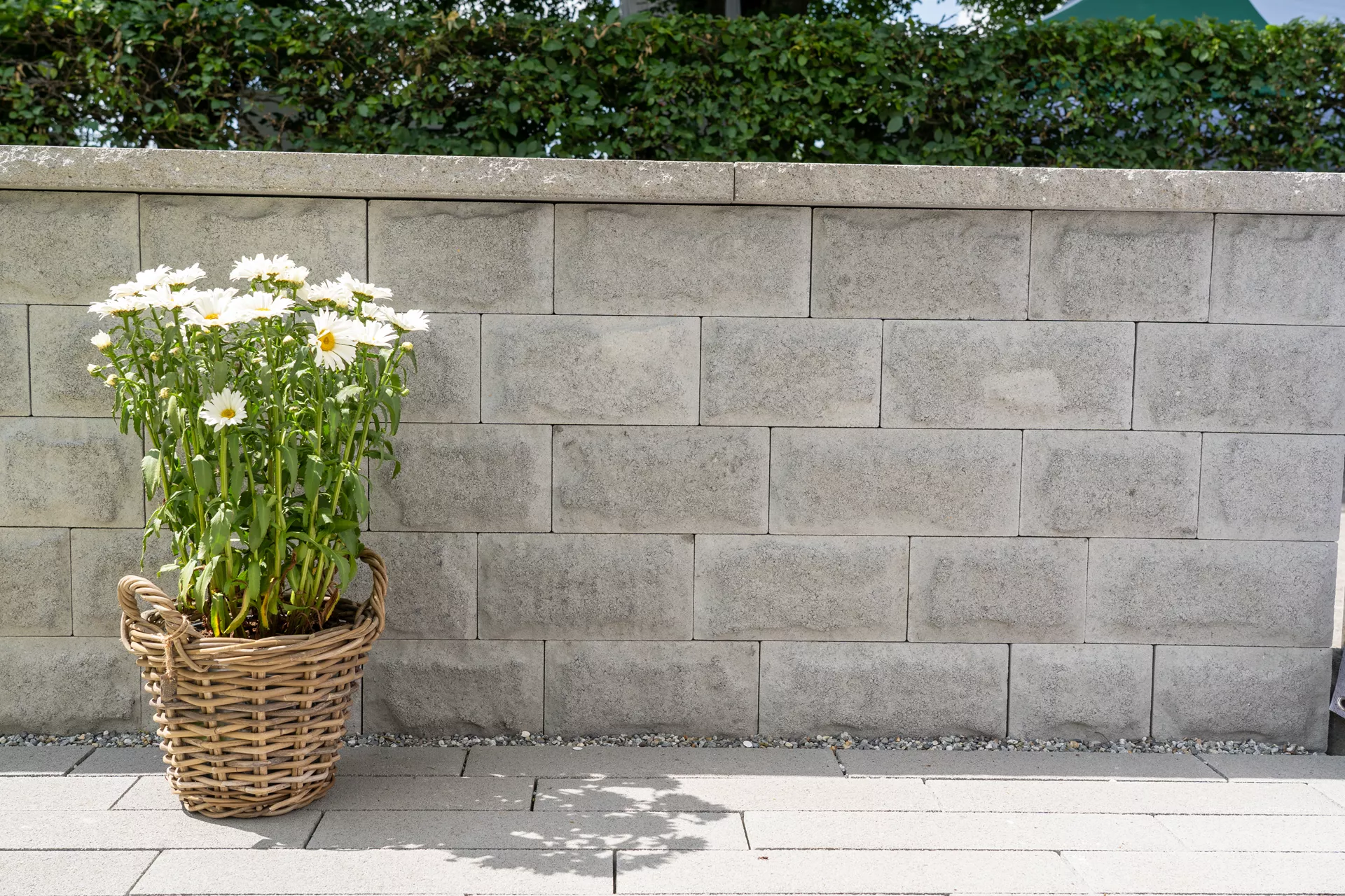 CUATRO Mauersteine naturgrau mit 1-seitiger Felsstruktur L 20-35 cm B 25 cm H 15 cm