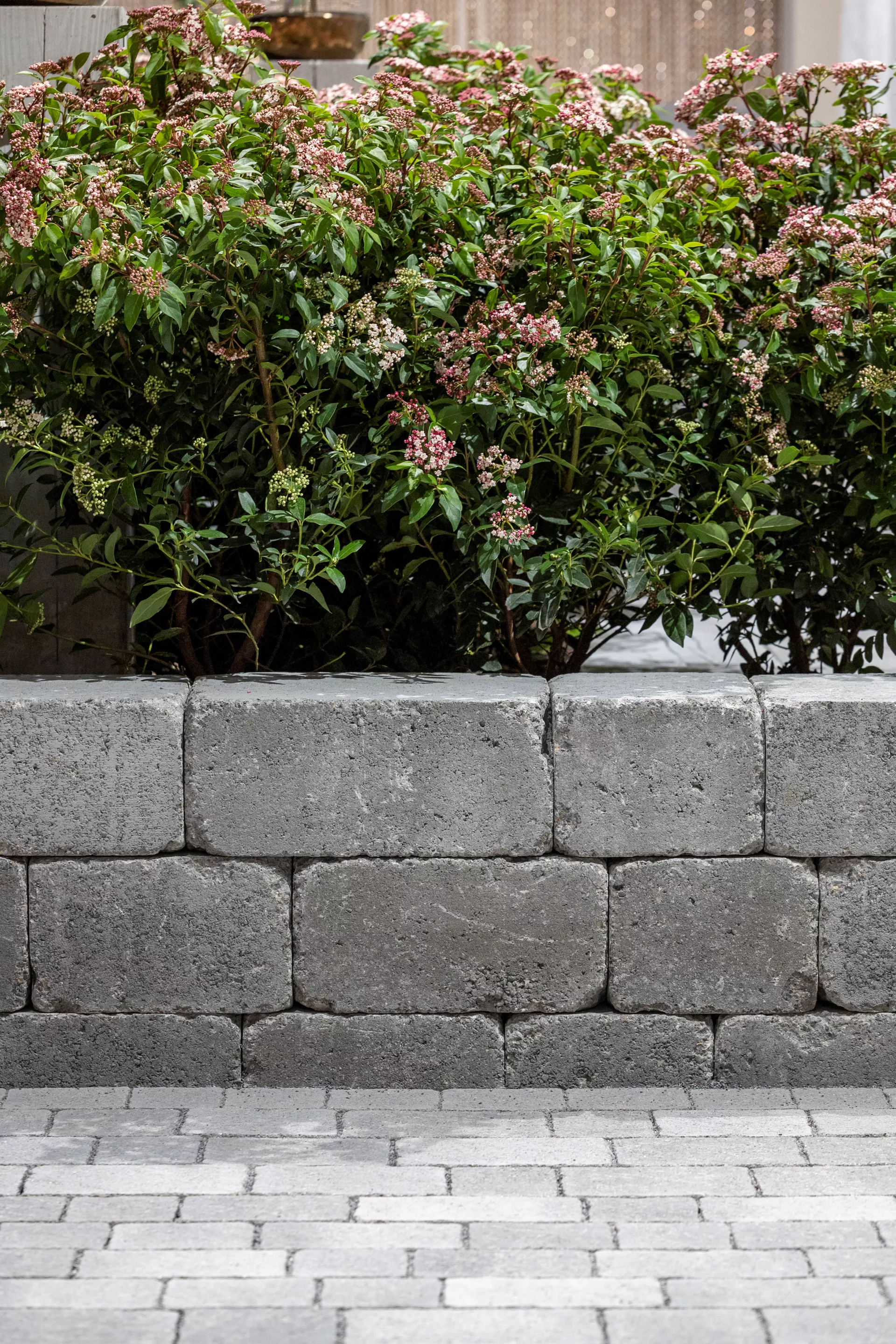 CUATRO Mauersteine Kanten gebrochen naturgrau L 20-35 cm B 25 cm H 15 cm