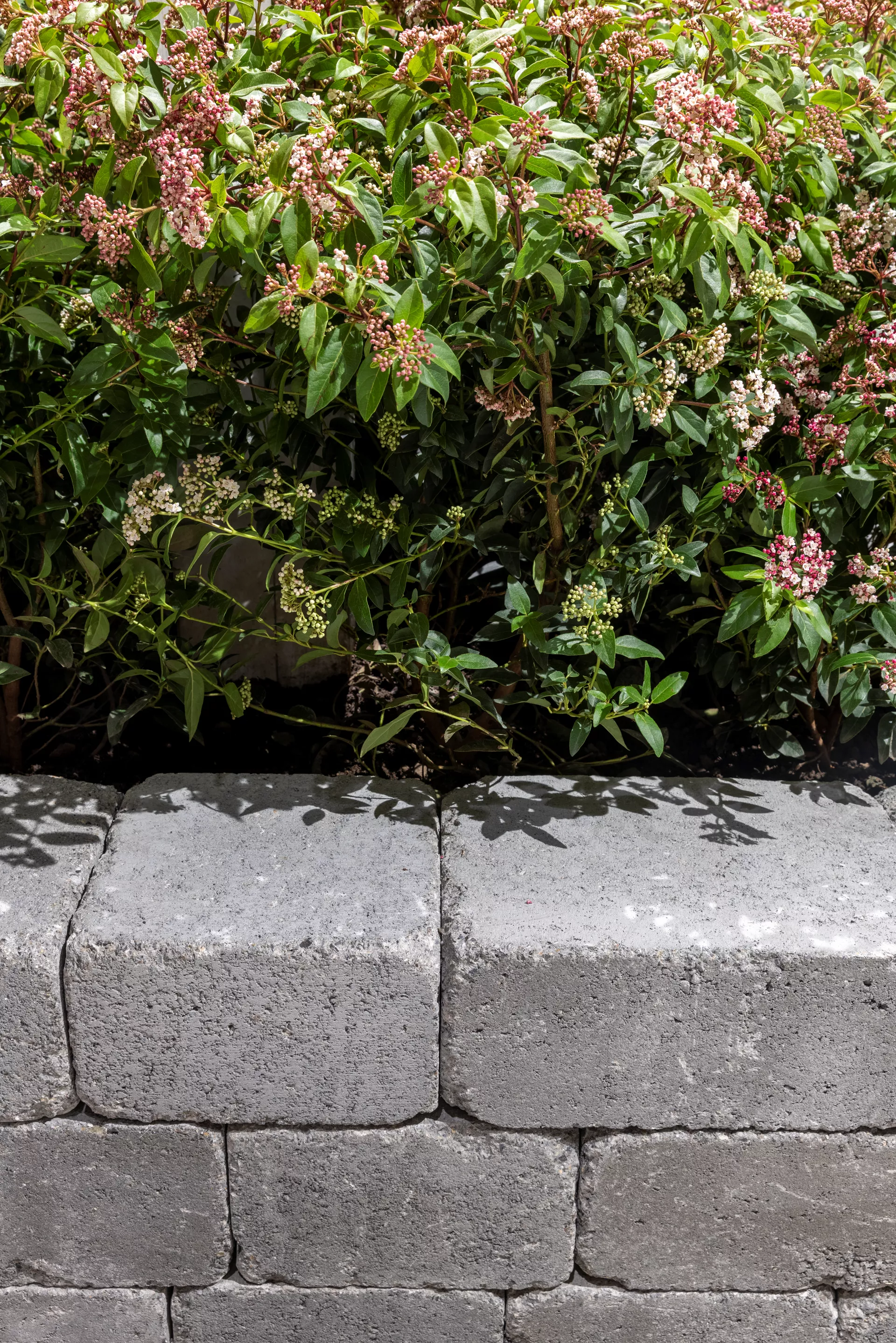 CUATRO Mauersteine Kanten gebrochen naturgrau L 20-35 cm B 25 cm H 15 cm